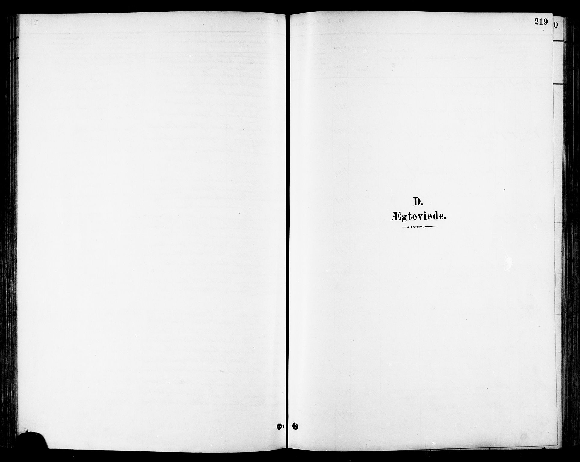 Ministerialprotokoller, klokkerbøker og fødselsregistre - Sør-Trøndelag, SAT/A-1456/678/L0901: Ministerialbok nr. 678A10, 1881-1894, s. 219