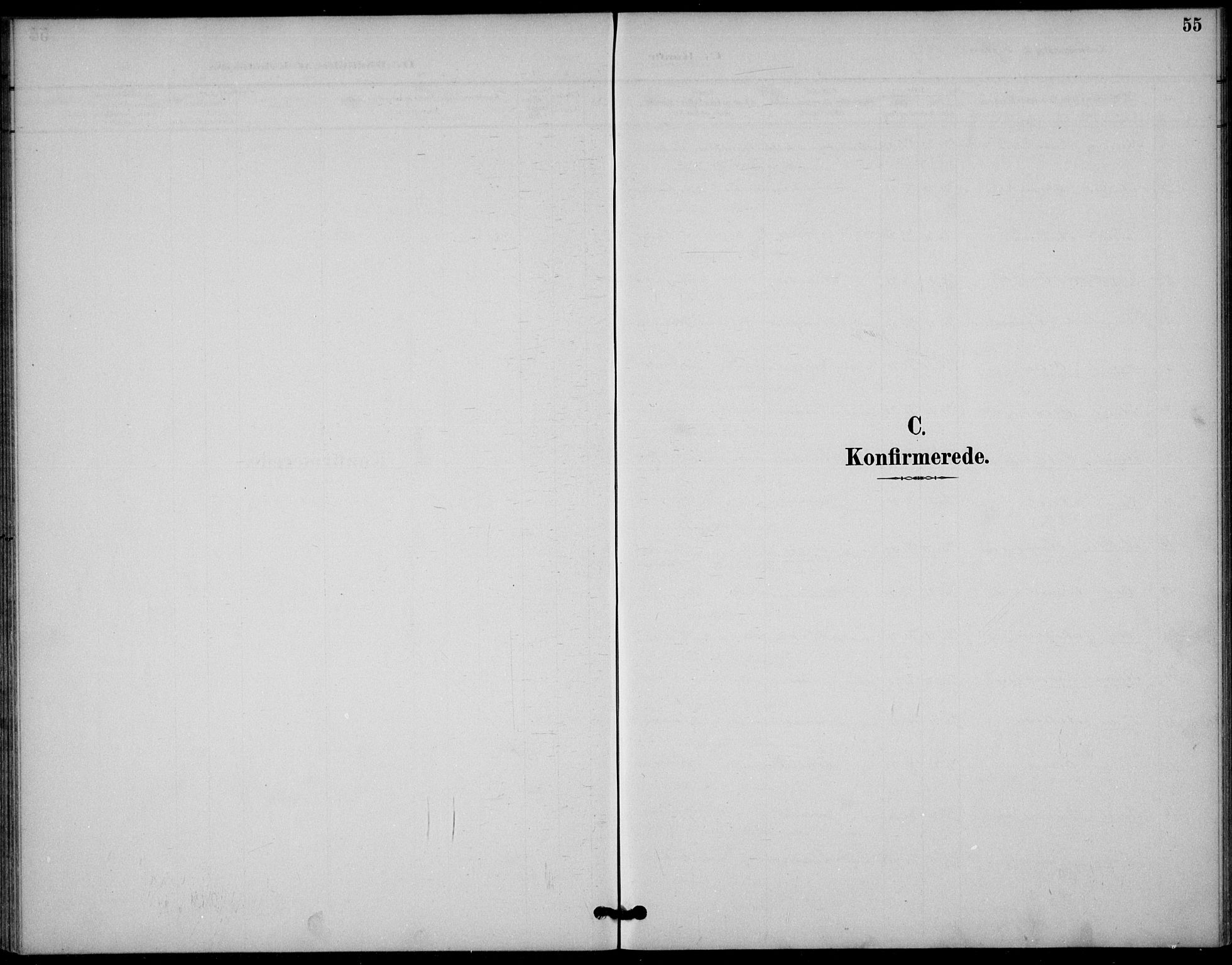Gol kirkebøker, AV/SAKO-A-226/F/Fb/L0001: Ministerialbok nr. II 1, 1887-1900, s. 55