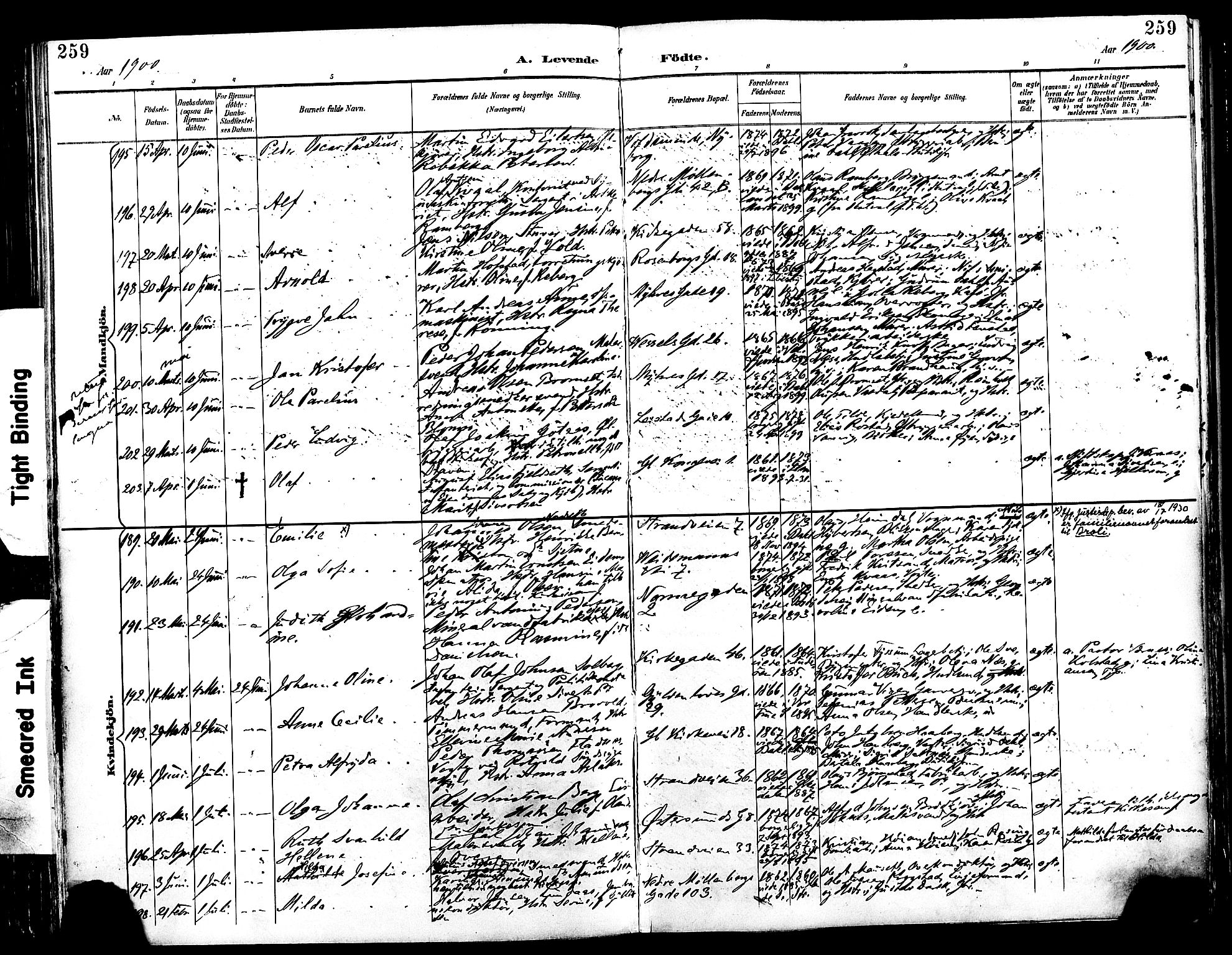 Ministerialprotokoller, klokkerbøker og fødselsregistre - Sør-Trøndelag, SAT/A-1456/604/L0197: Ministerialbok nr. 604A18, 1893-1900, s. 259