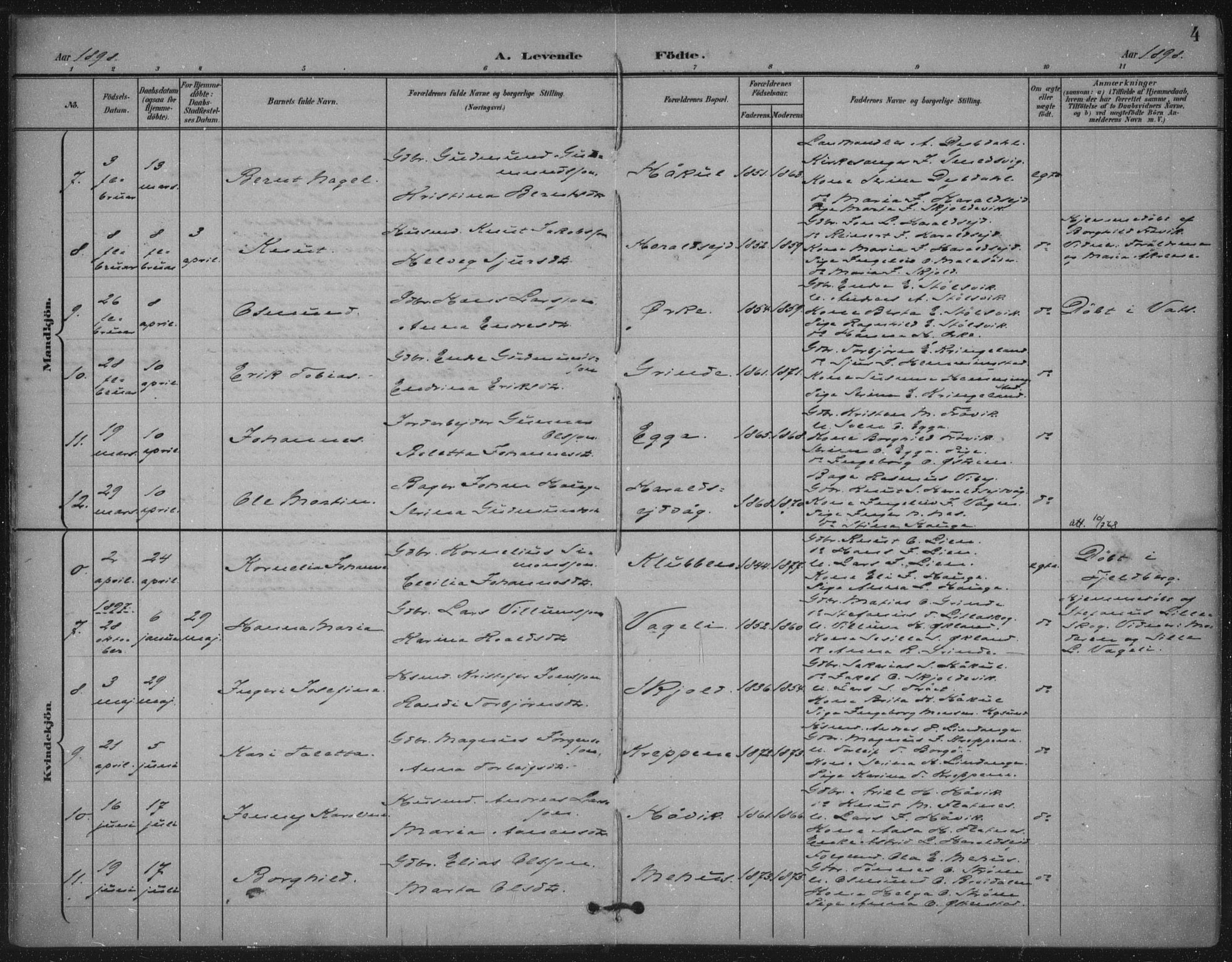 Skjold sokneprestkontor, AV/SAST-A-101847/H/Ha/Haa/L0011: Ministerialbok nr. A 11, 1897-1914, s. 4