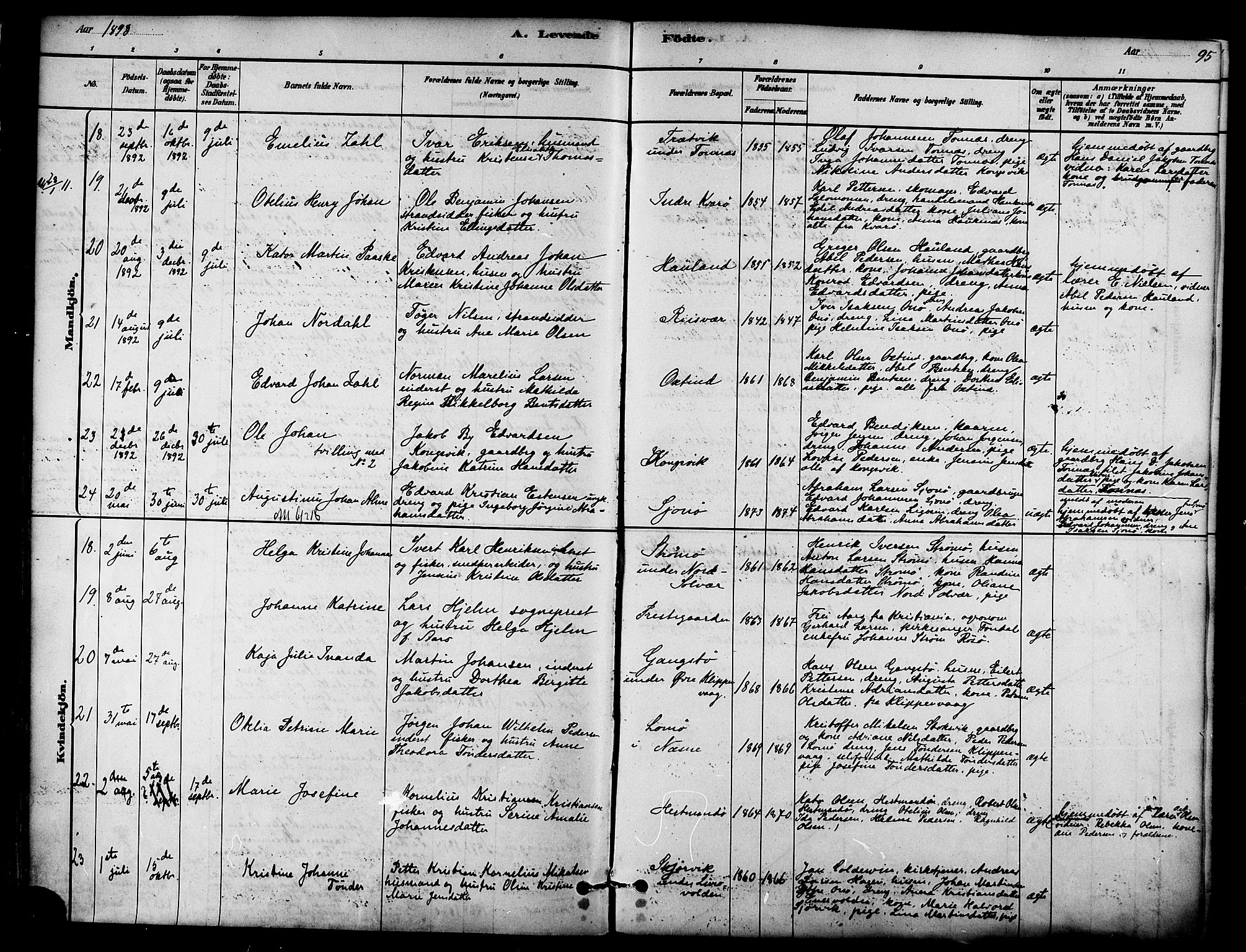 Ministerialprotokoller, klokkerbøker og fødselsregistre - Nordland, AV/SAT-A-1459/839/L0568: Ministerialbok nr. 839A05, 1880-1902, s. 95