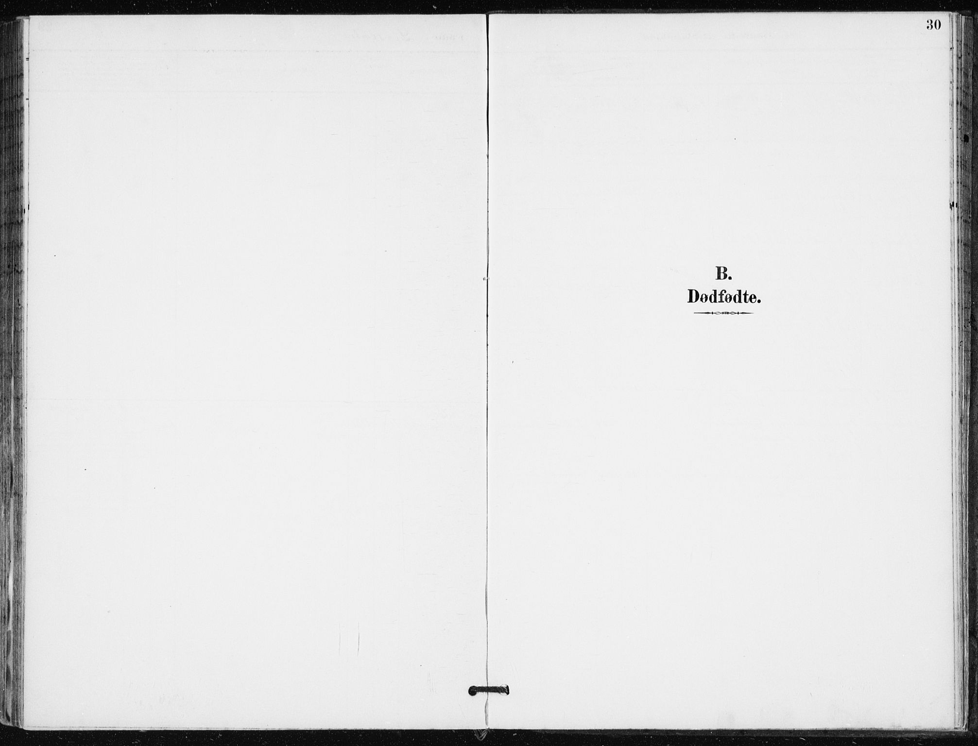 Modum kirkebøker, AV/SAKO-A-234/F/Fa/L0016: Ministerialbok nr. 16, 1890-1899, s. 30