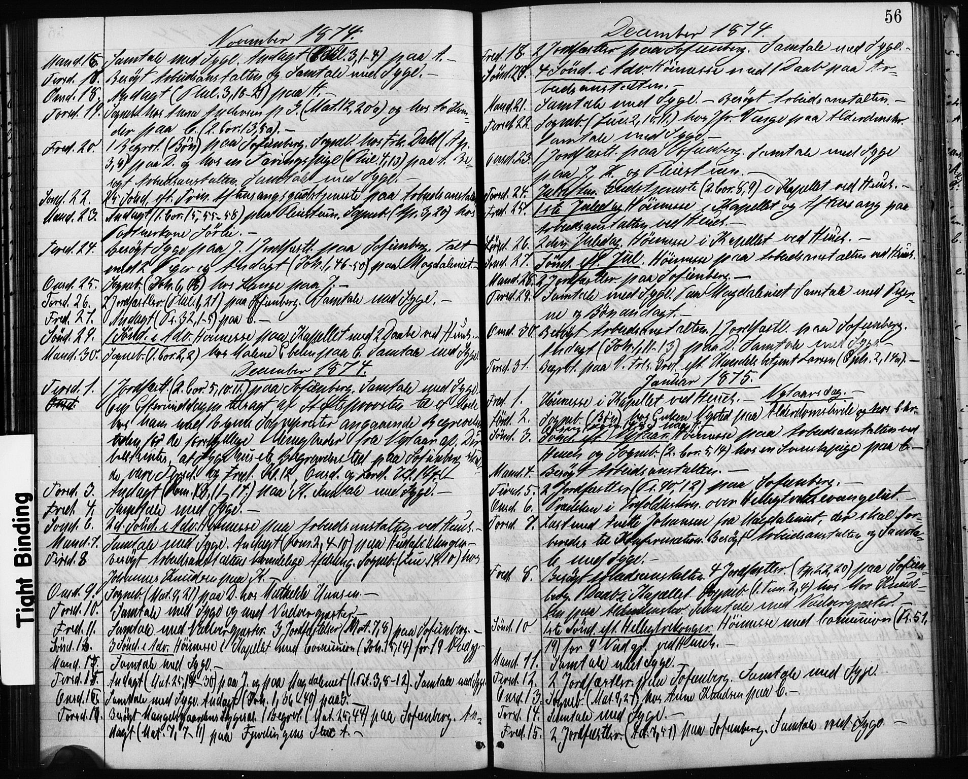 Krohgstøtten sykehusprest Kirkebøker, AV/SAO-A-10854/I/Ia/L0001: Dagsregister nr. 1, 1865-1886, s. 56