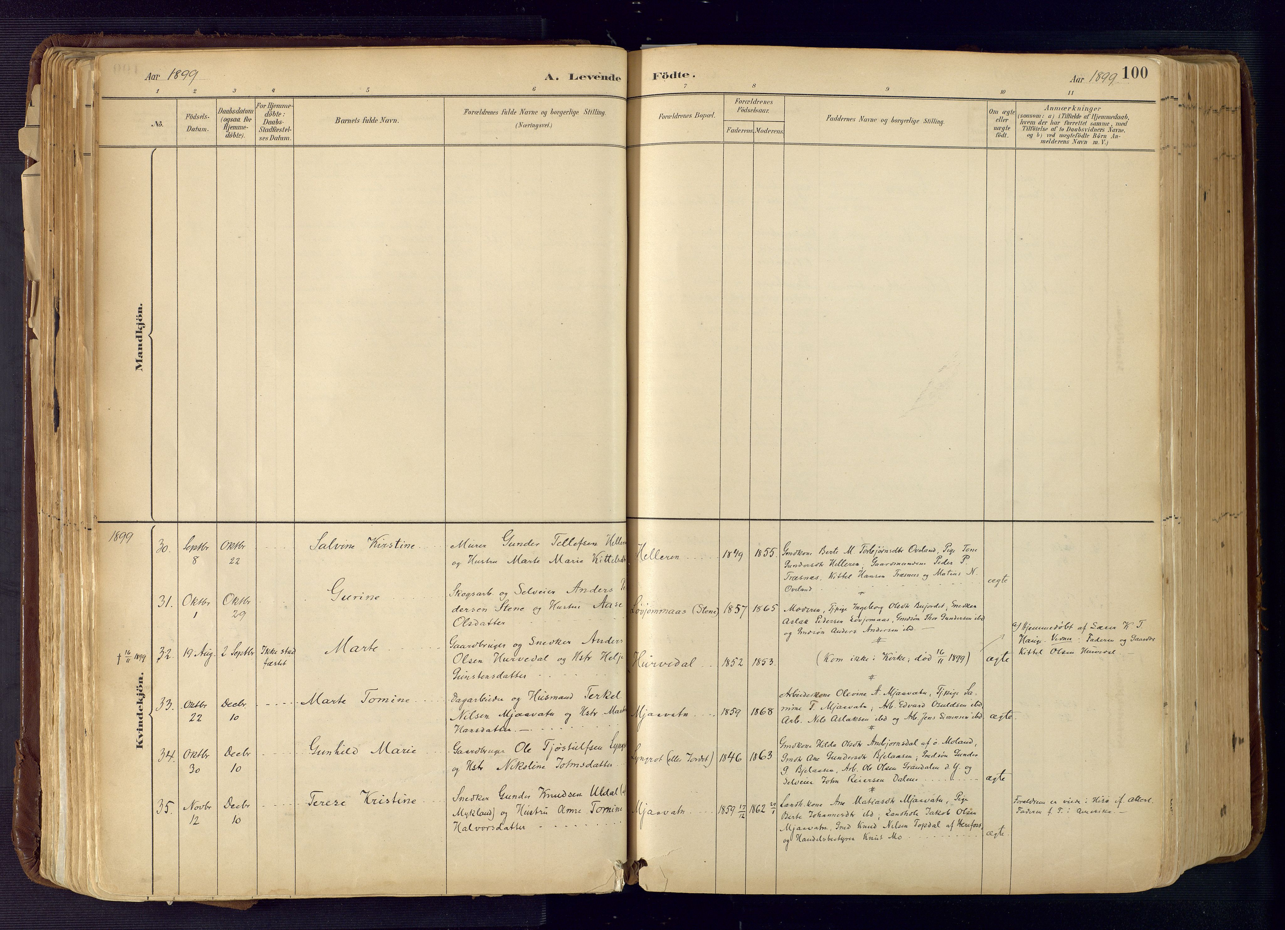 Froland sokneprestkontor, AV/SAK-1111-0013/F/Fa/L0005: Ministerialbok nr. A 5, 1882-1921, s. 100