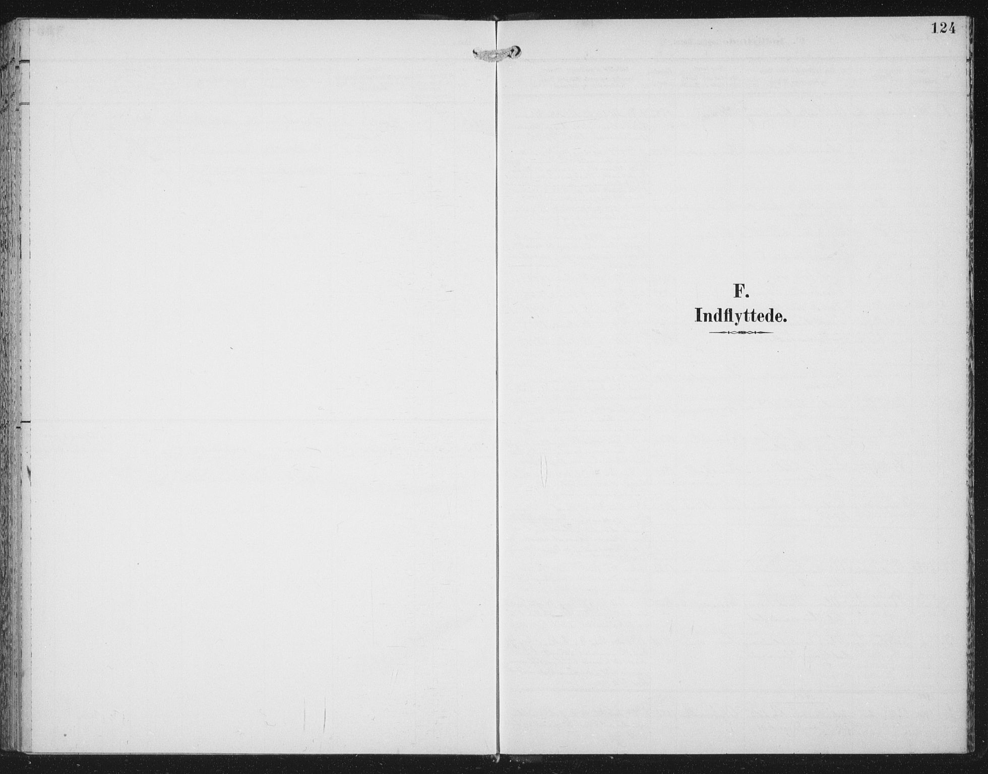 Ministerialprotokoller, klokkerbøker og fødselsregistre - Nord-Trøndelag, AV/SAT-A-1458/702/L0024: Ministerialbok nr. 702A02, 1898-1914, s. 124