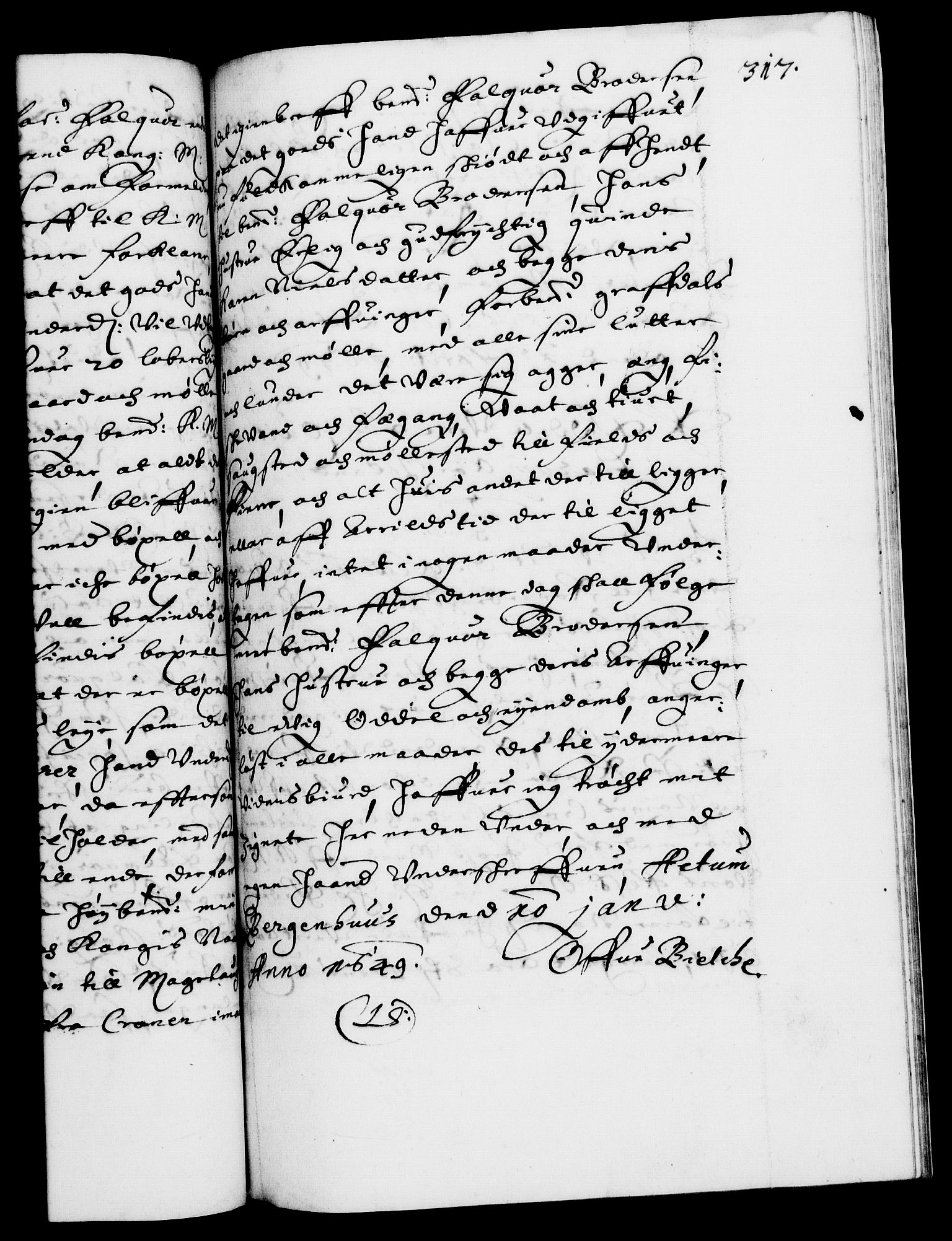 Danske Kanselli 1572-1799, AV/RA-EA-3023/F/Fc/Fca/Fcaa/L0007: Norske registre (mikrofilm), 1648-1650, s. 317a