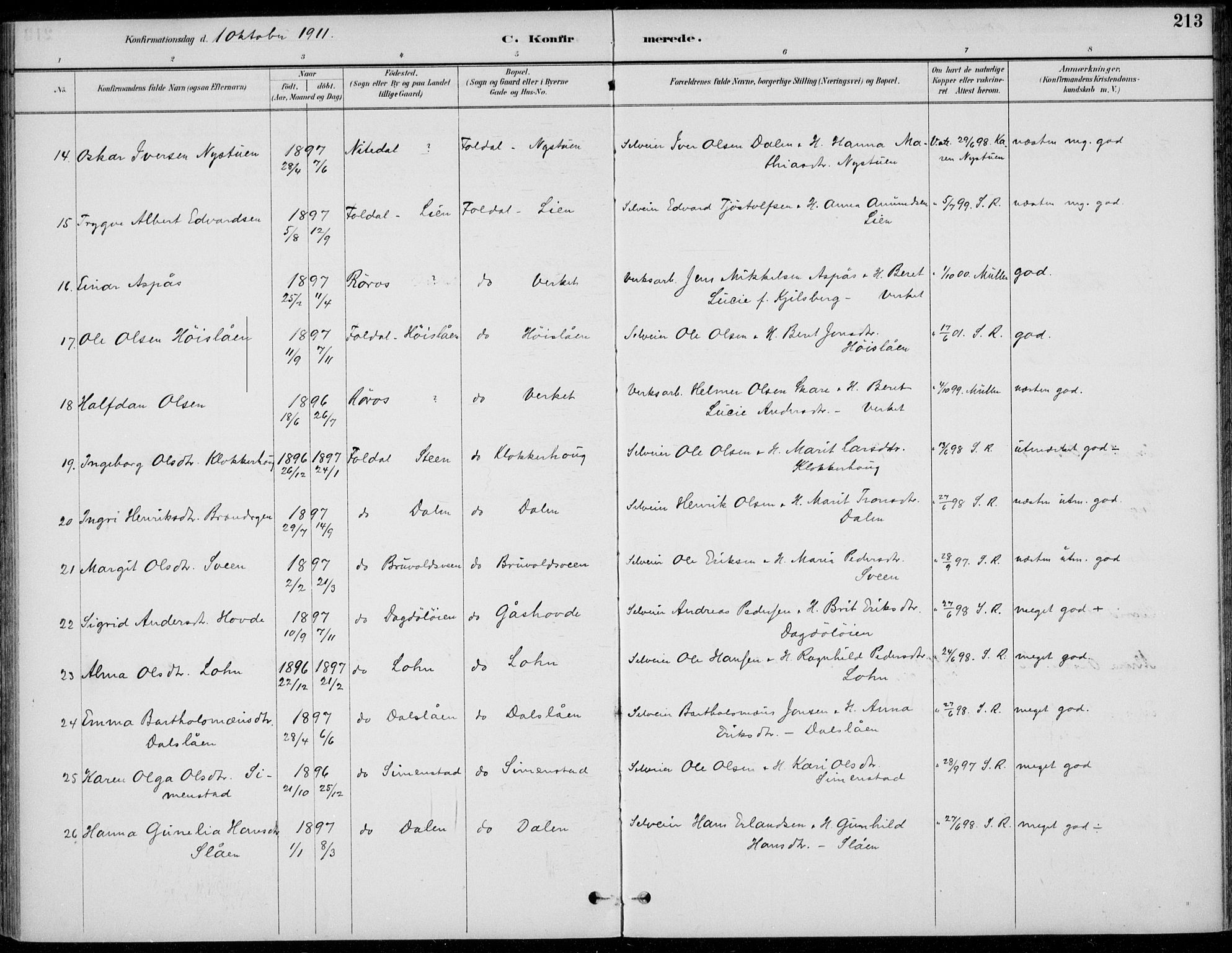 Alvdal prestekontor, AV/SAH-PREST-060/H/Ha/Haa/L0003: Ministerialbok nr. 3, 1886-1912, s. 213