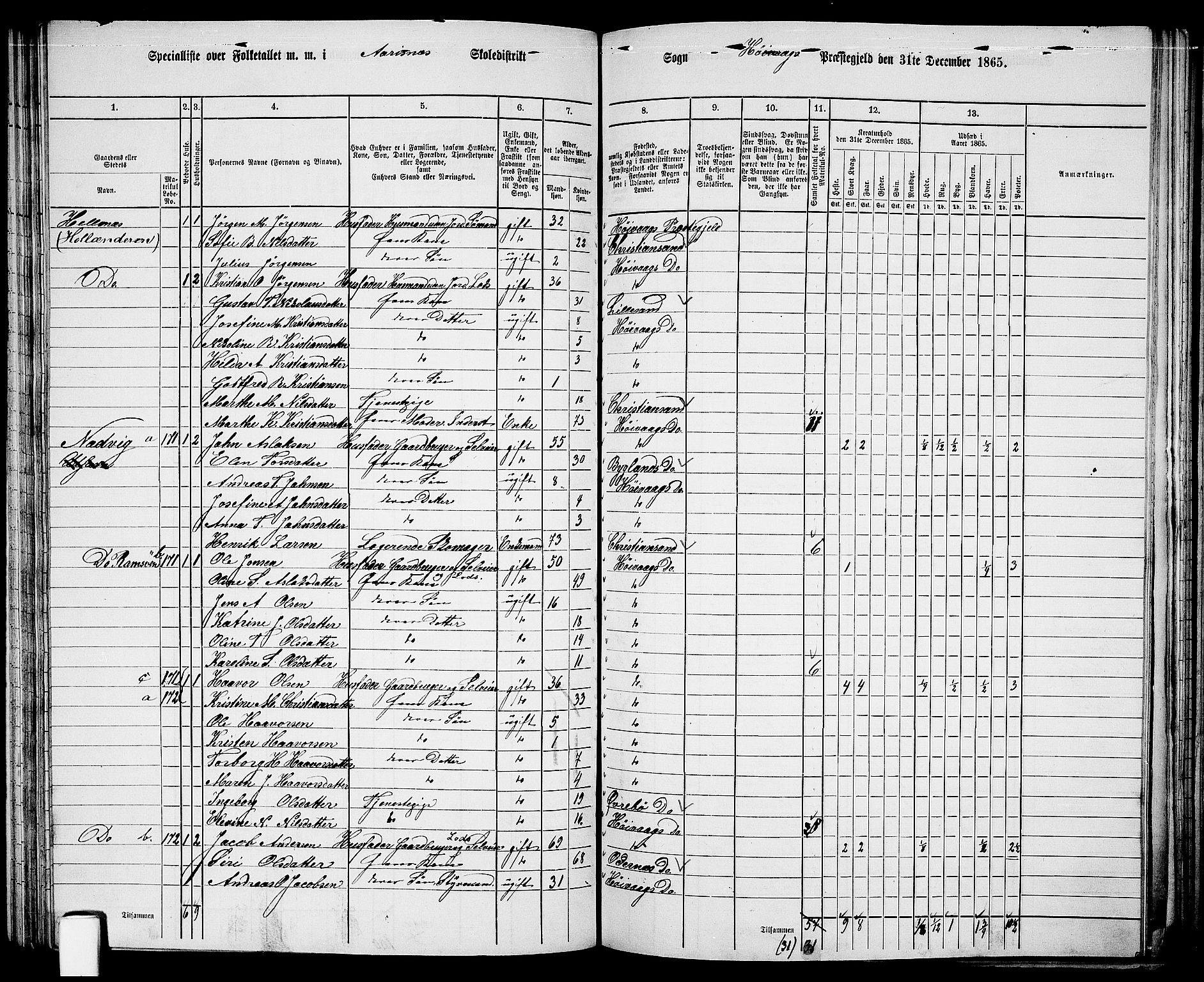 RA, Folketelling 1865 for 0927P Høvåg prestegjeld, 1865, s. 82