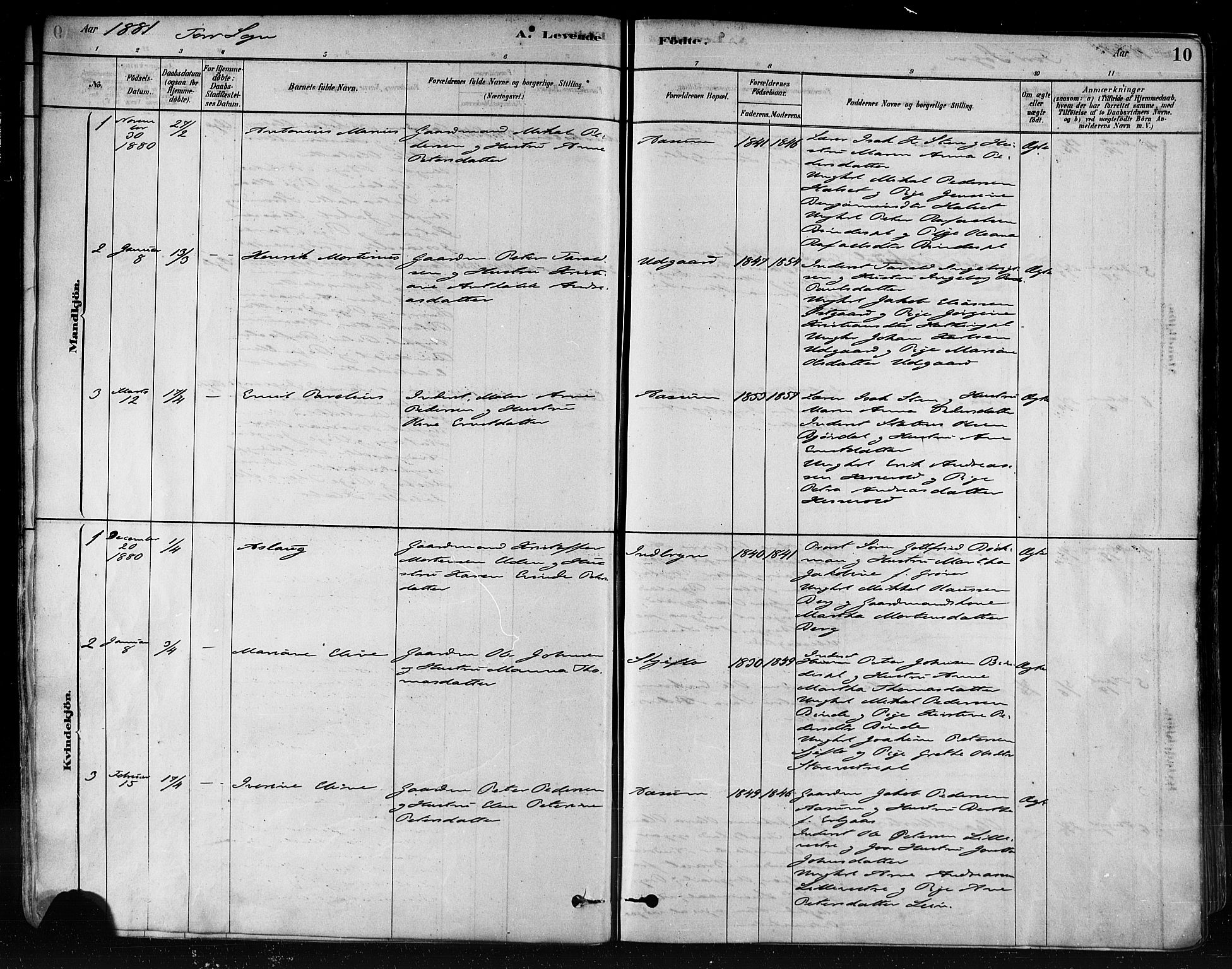 Ministerialprotokoller, klokkerbøker og fødselsregistre - Nord-Trøndelag, SAT/A-1458/746/L0448: Ministerialbok nr. 746A07 /1, 1878-1900, s. 10
