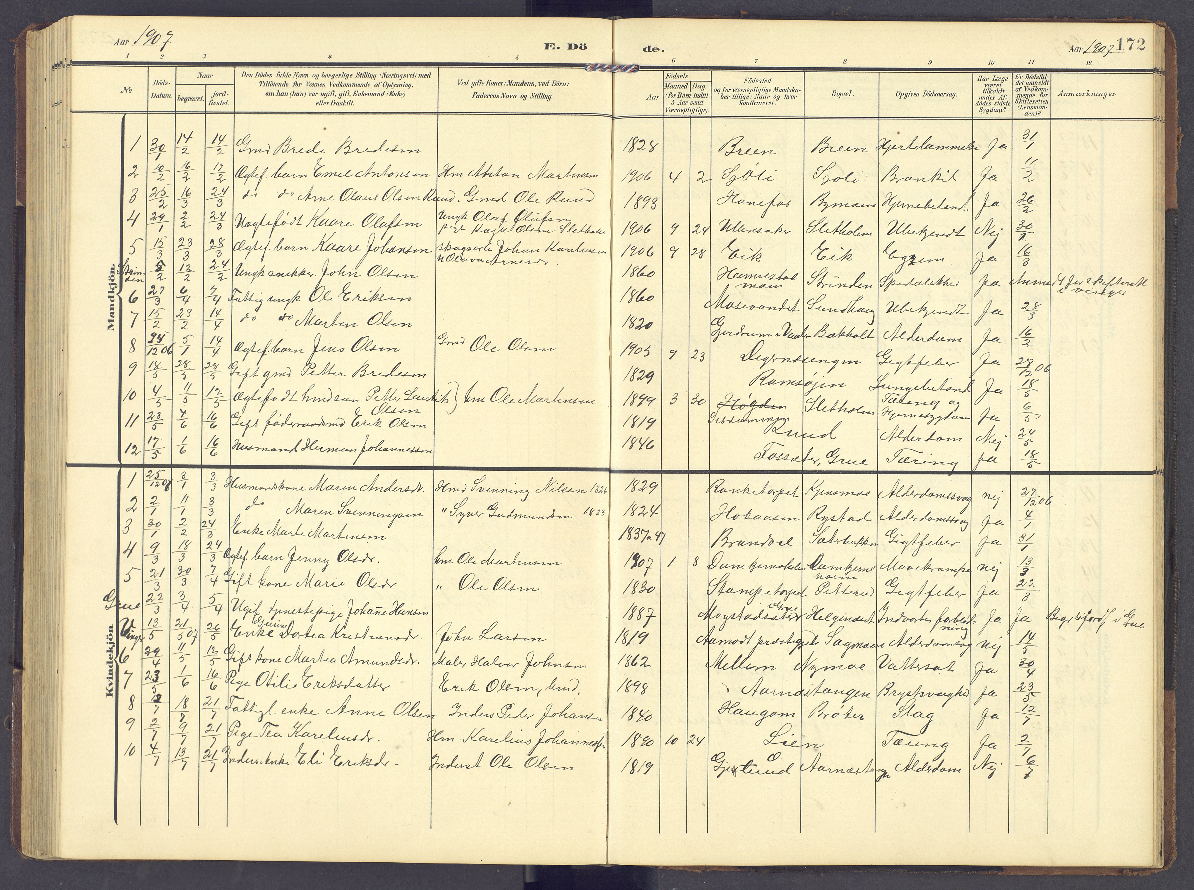 Brandval prestekontor, AV/SAH-PREST-034/H/Ha/Hab/L0003: Klokkerbok nr. 3, 1904-1917, s. 172