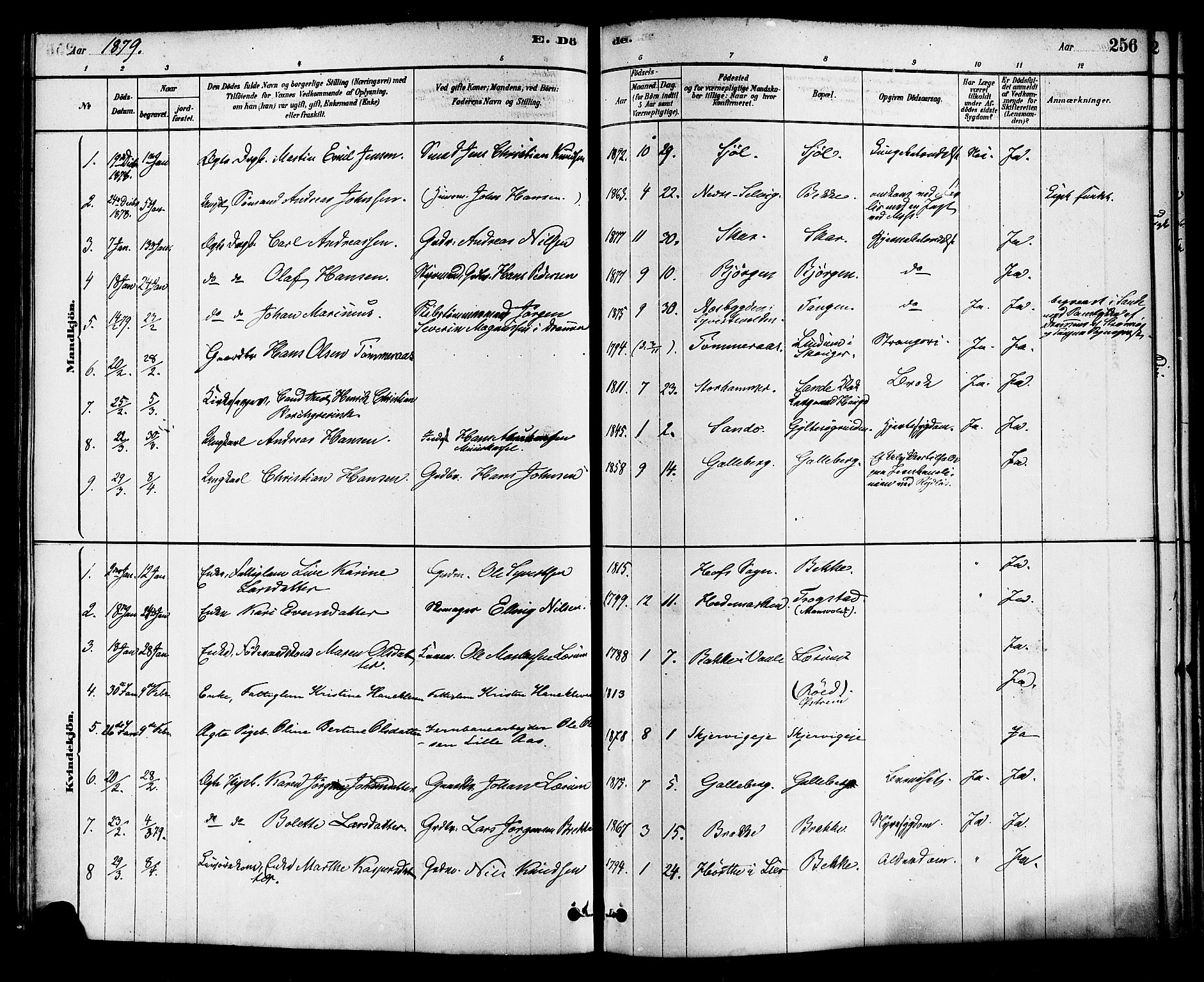 Sande Kirkebøker, AV/SAKO-A-53/F/Fa/L0006: Ministerialbok nr. 6, 1878-1888, s. 256