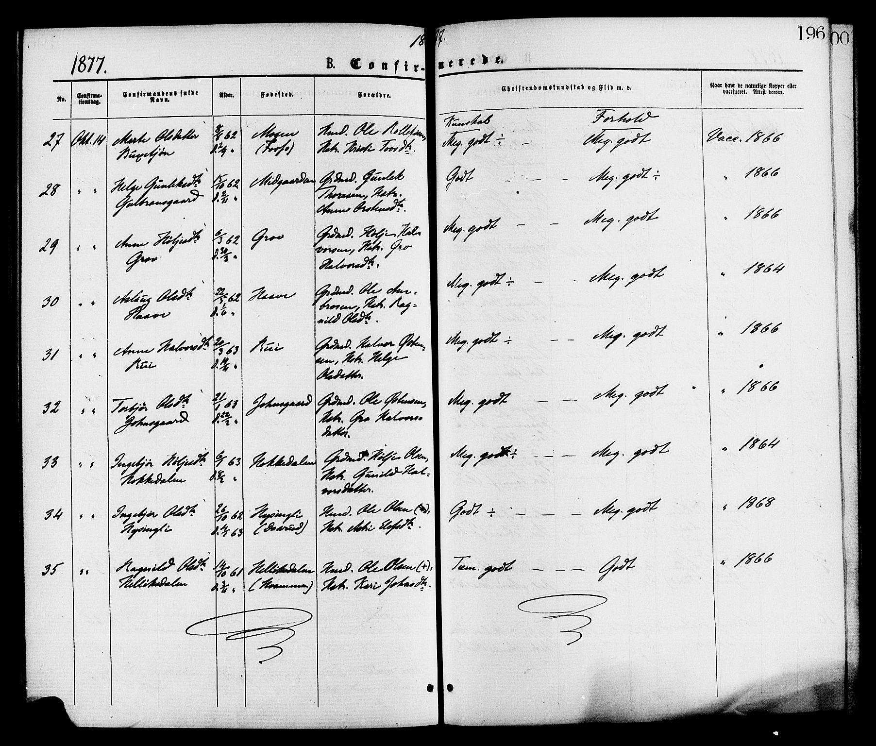 Gransherad kirkebøker, AV/SAKO-A-267/F/Fa/L0004: Ministerialbok nr. I 4, 1871-1886, s. 196
