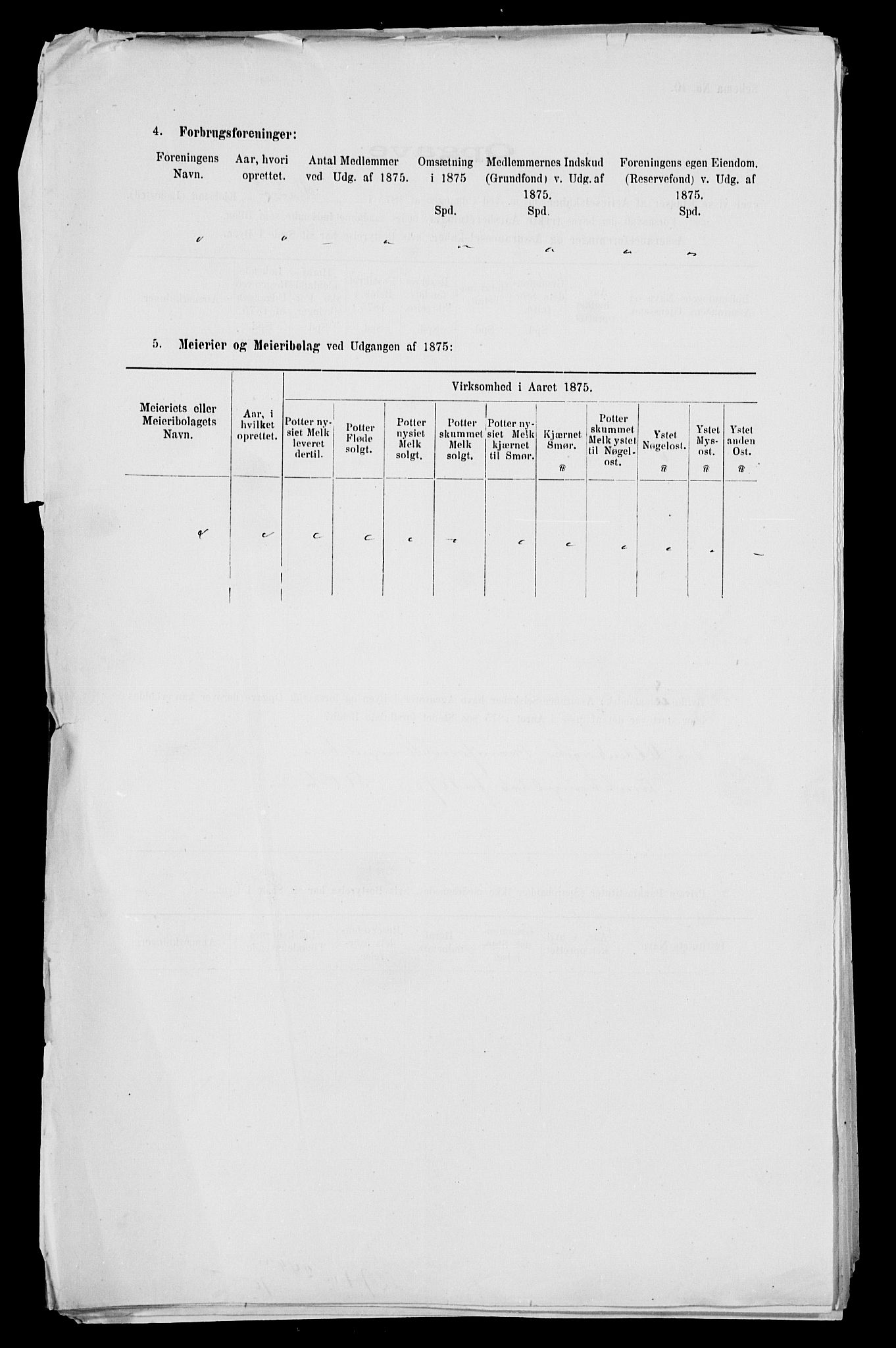 Statistisk sentralbyrå, Næringsøkonomiske emner, Generelt - Amtmennenes femårsberetninger, AV/RA-S-2233/F/Fa/L0041: --, 1871-1875, s. 247