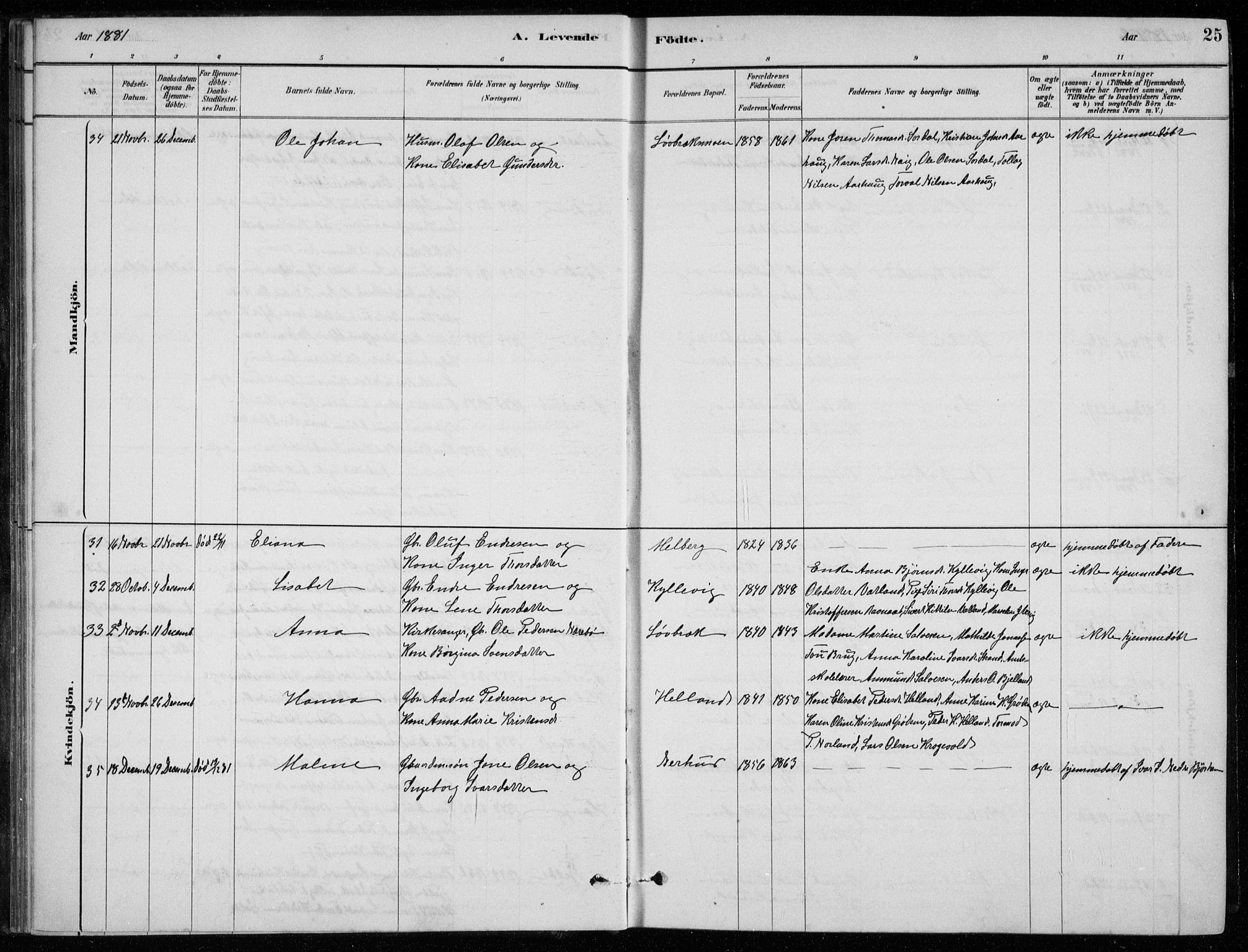Strand sokneprestkontor, AV/SAST-A-101828/H/Ha/Hab/L0004: Klokkerbok nr. B 4, 1878-1903, s. 25