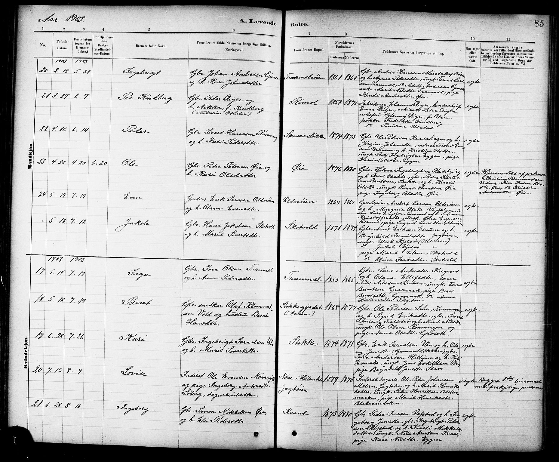 Ministerialprotokoller, klokkerbøker og fødselsregistre - Sør-Trøndelag, AV/SAT-A-1456/691/L1094: Klokkerbok nr. 691C05, 1879-1911, s. 85