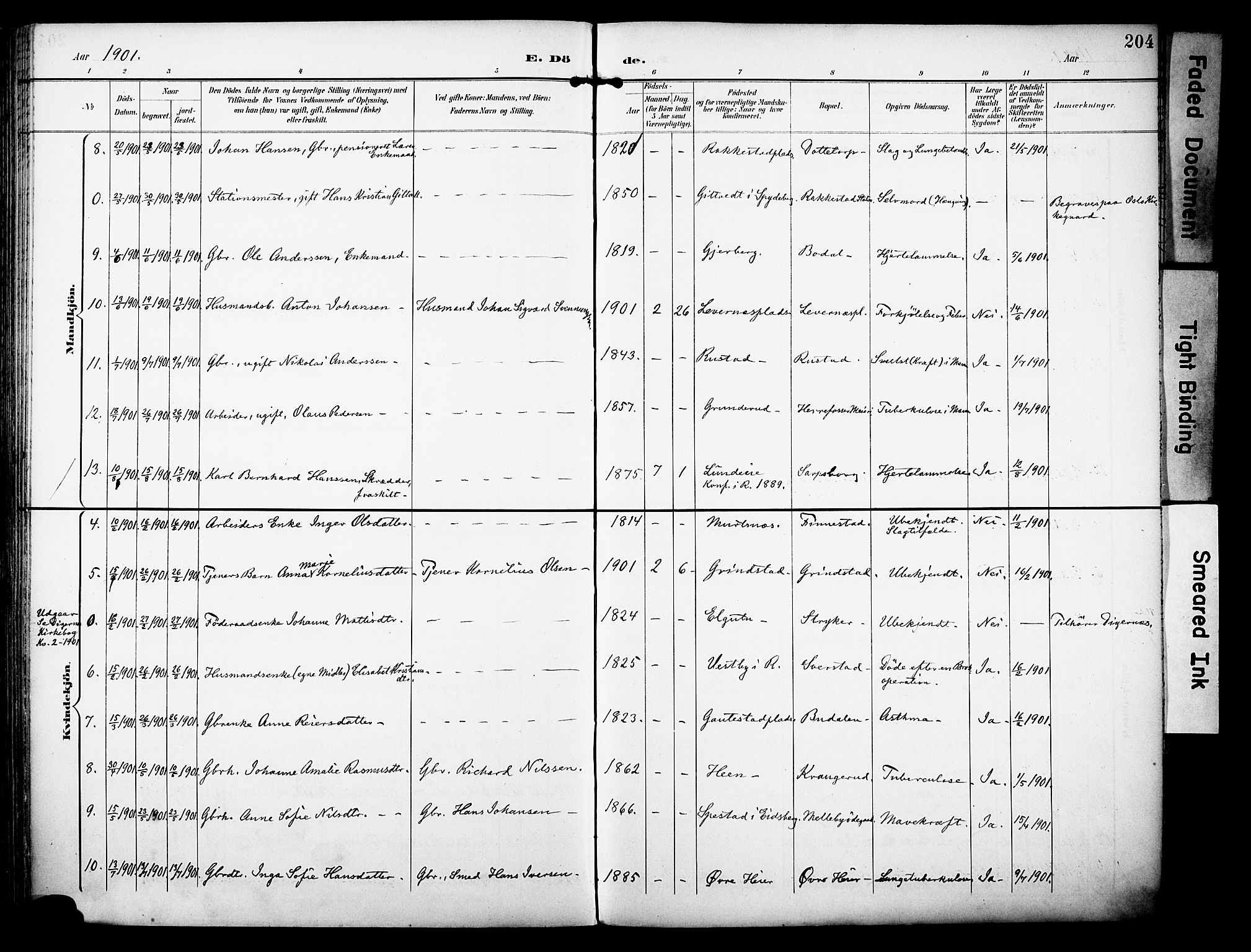 Rakkestad prestekontor Kirkebøker, AV/SAO-A-2008/F/Fa/L0013: Ministerialbok nr. I 13, 1894-1908, s. 204