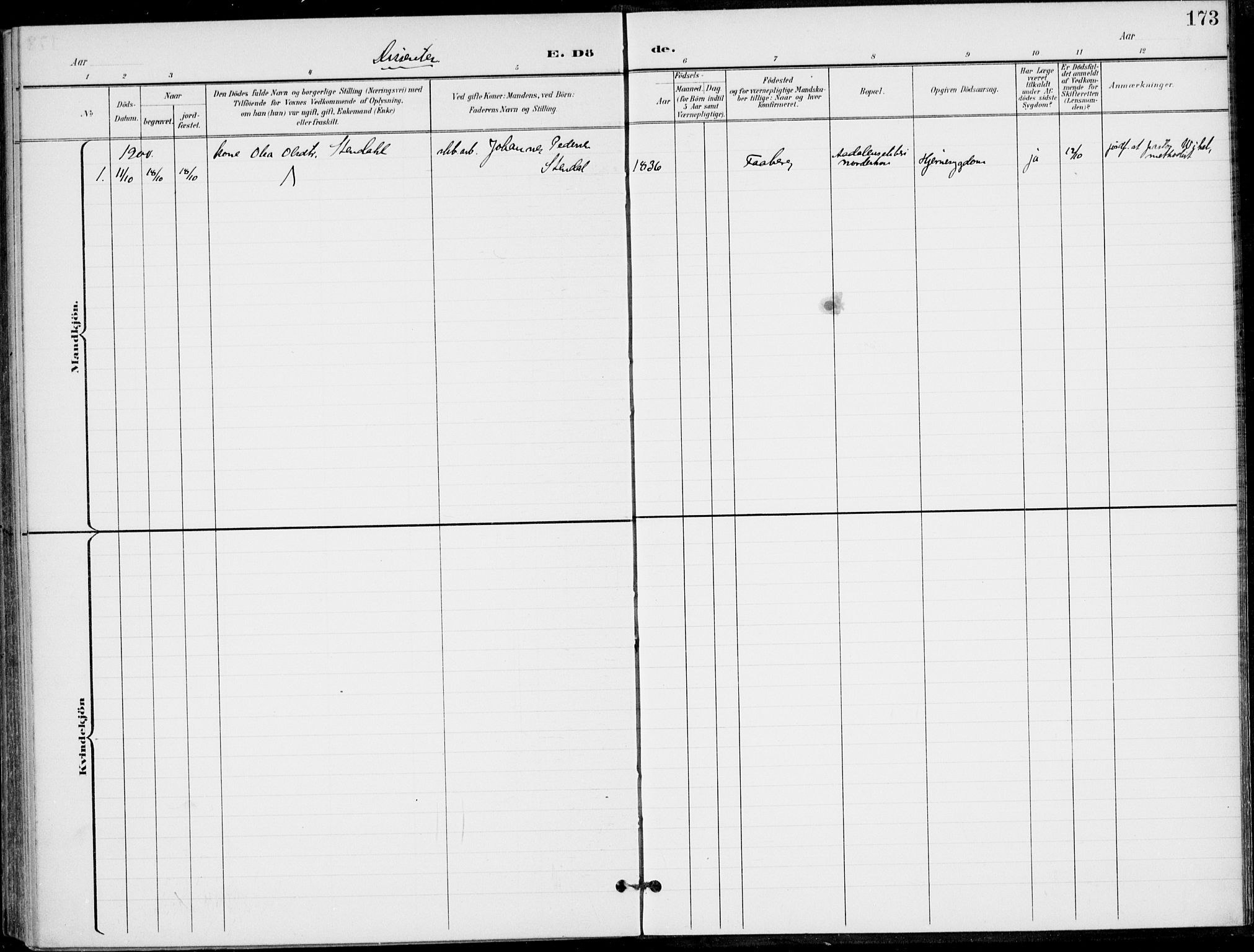 Ådal kirkebøker, SAKO/A-248/F/Fb/L0002: Ministerialbok nr. II 2, 1898-1917, s. 173