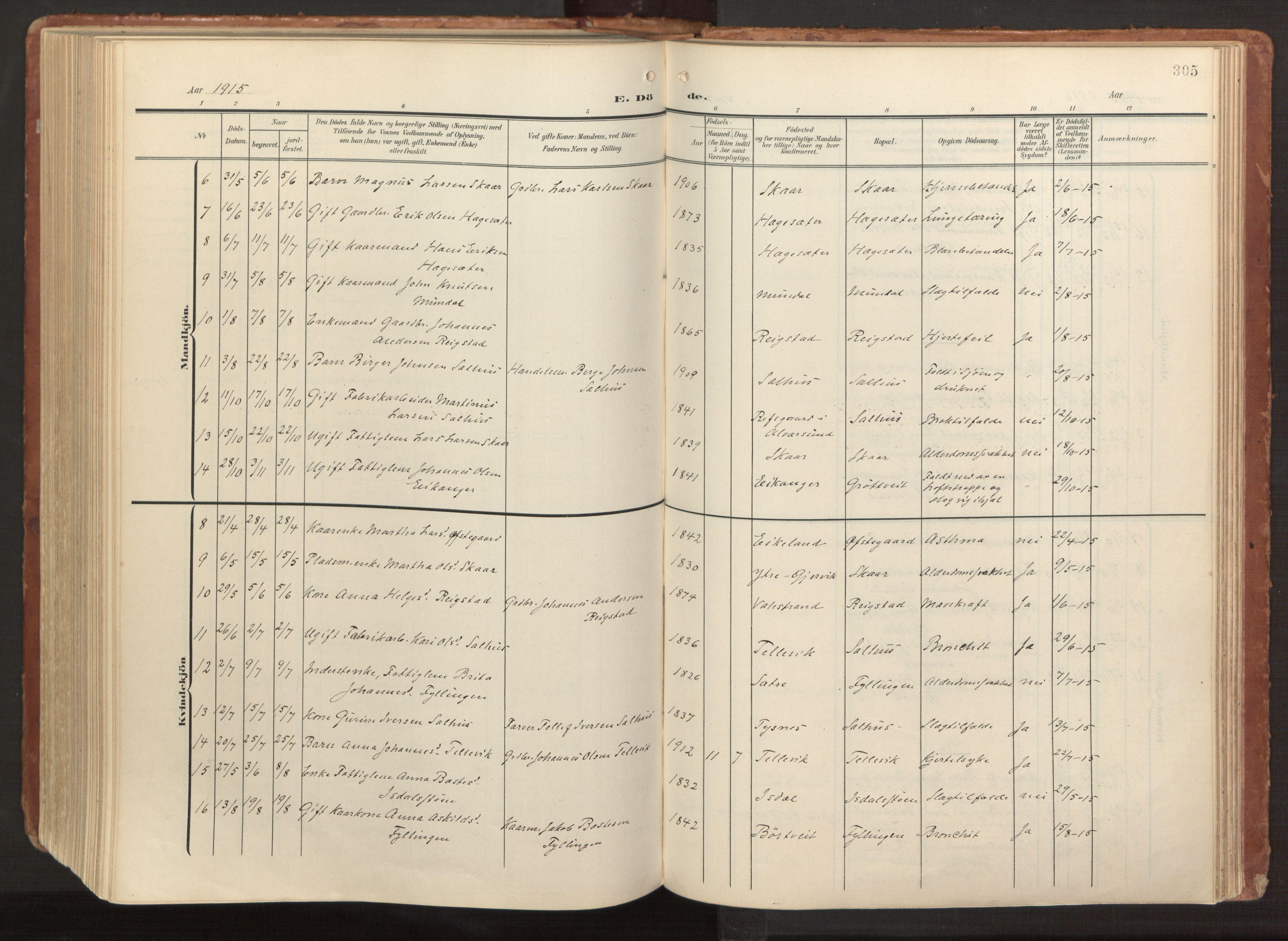 Hamre sokneprestembete, AV/SAB-A-75501/H/Ha/Haa/Haab/L0002: Ministerialbok nr. B 2, 1905-1924, s. 305