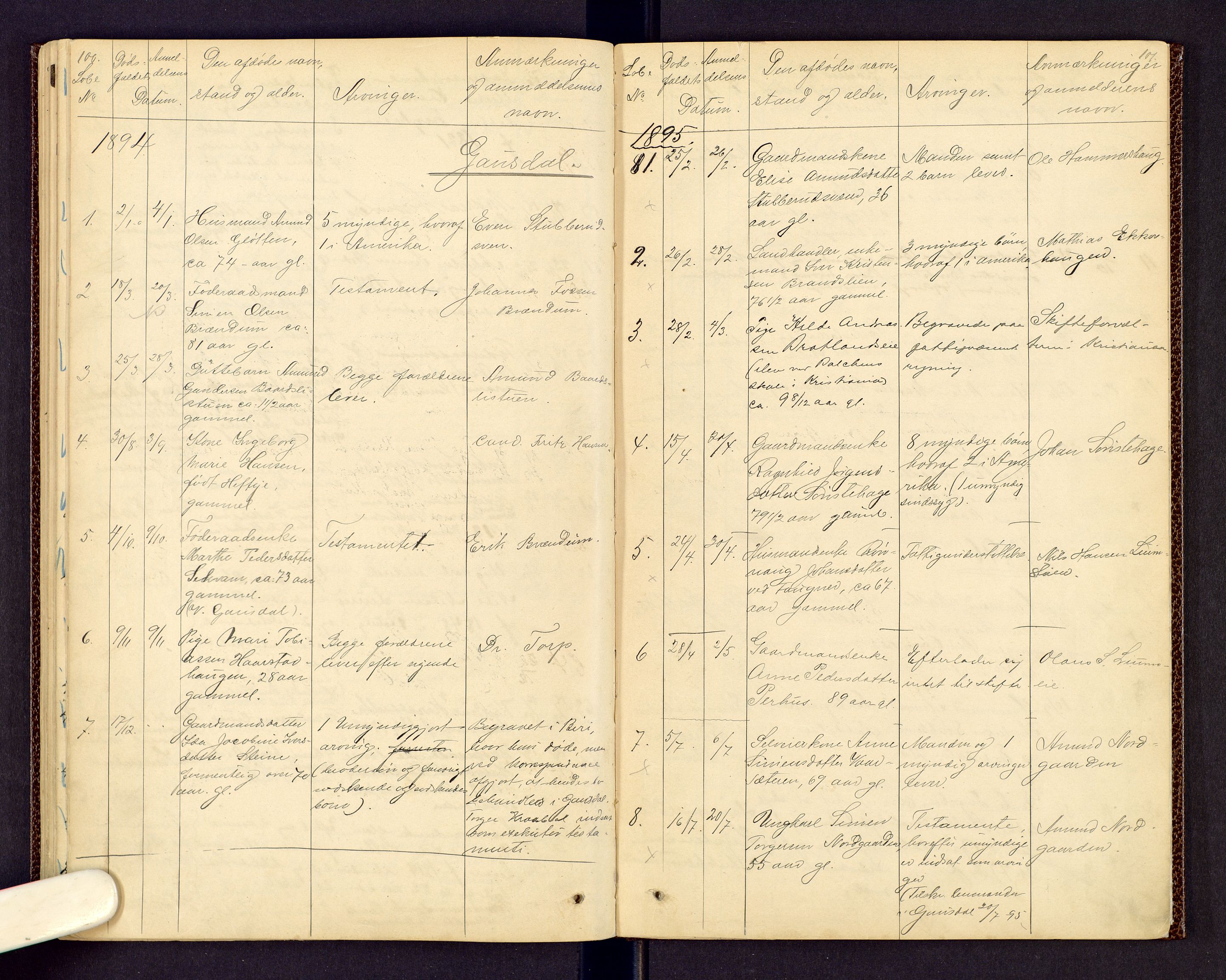 Sør-Gudbrandsdal tingrett, AV/SAH-TING-004/J/Jd/Jda/L0003: Dødsfallsprotokoll - Fåberg og Gausdal, 1894-1909, s. 100-101