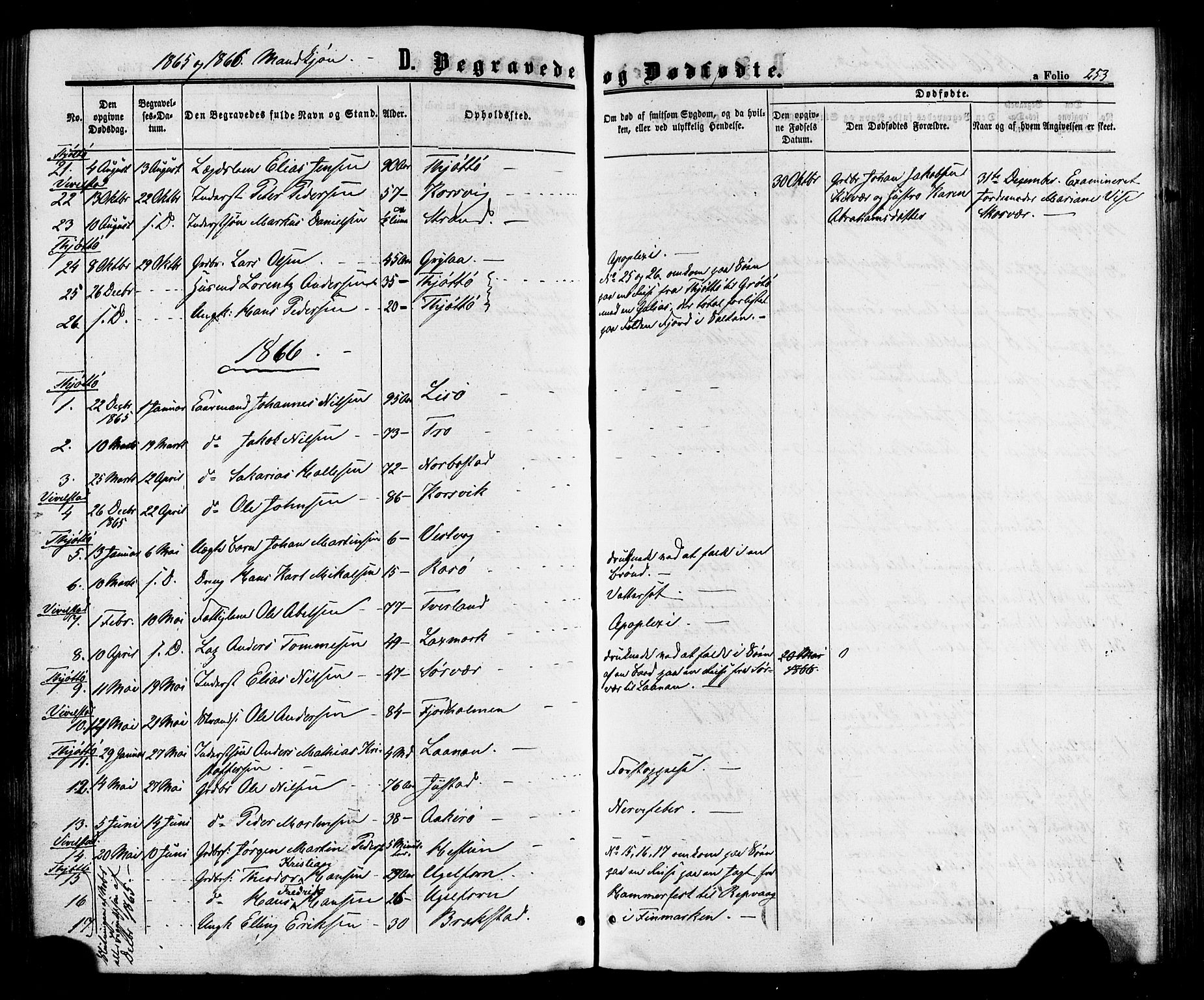 Ministerialprotokoller, klokkerbøker og fødselsregistre - Nordland, AV/SAT-A-1459/817/L0262: Ministerialbok nr. 817A03/ 1, 1862-1877, s. 253