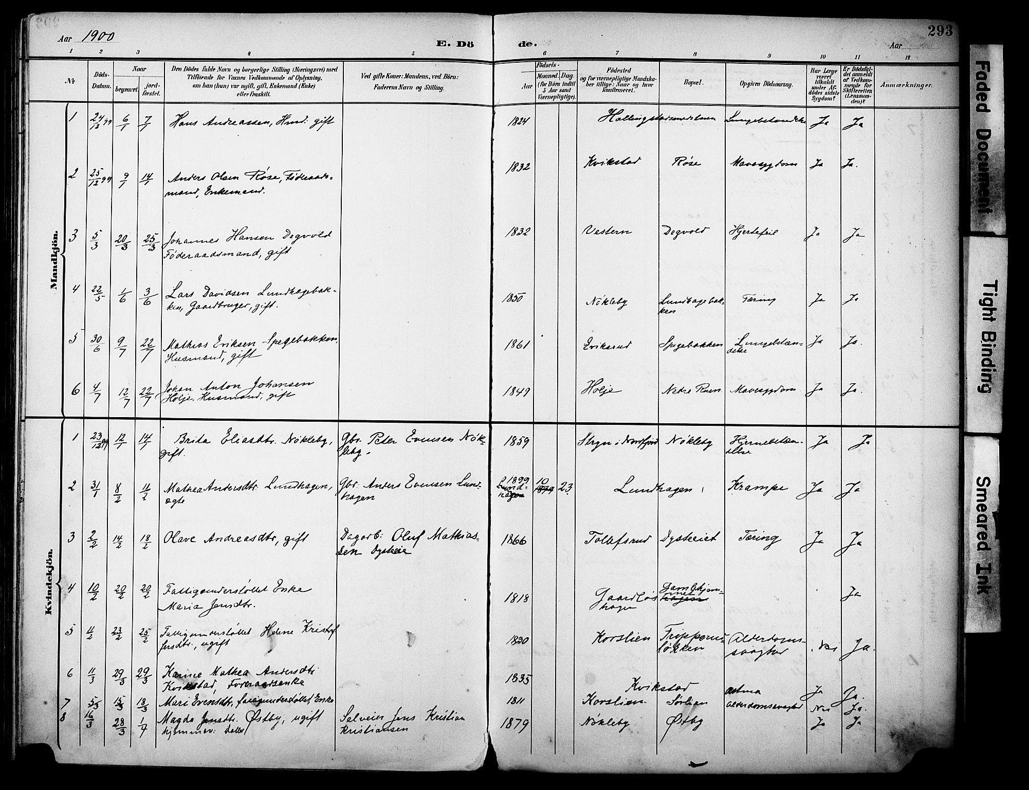 Vestre Toten prestekontor, AV/SAH-PREST-108/H/Ha/Haa/L0013: Ministerialbok nr. 13, 1895-1911, s. 293