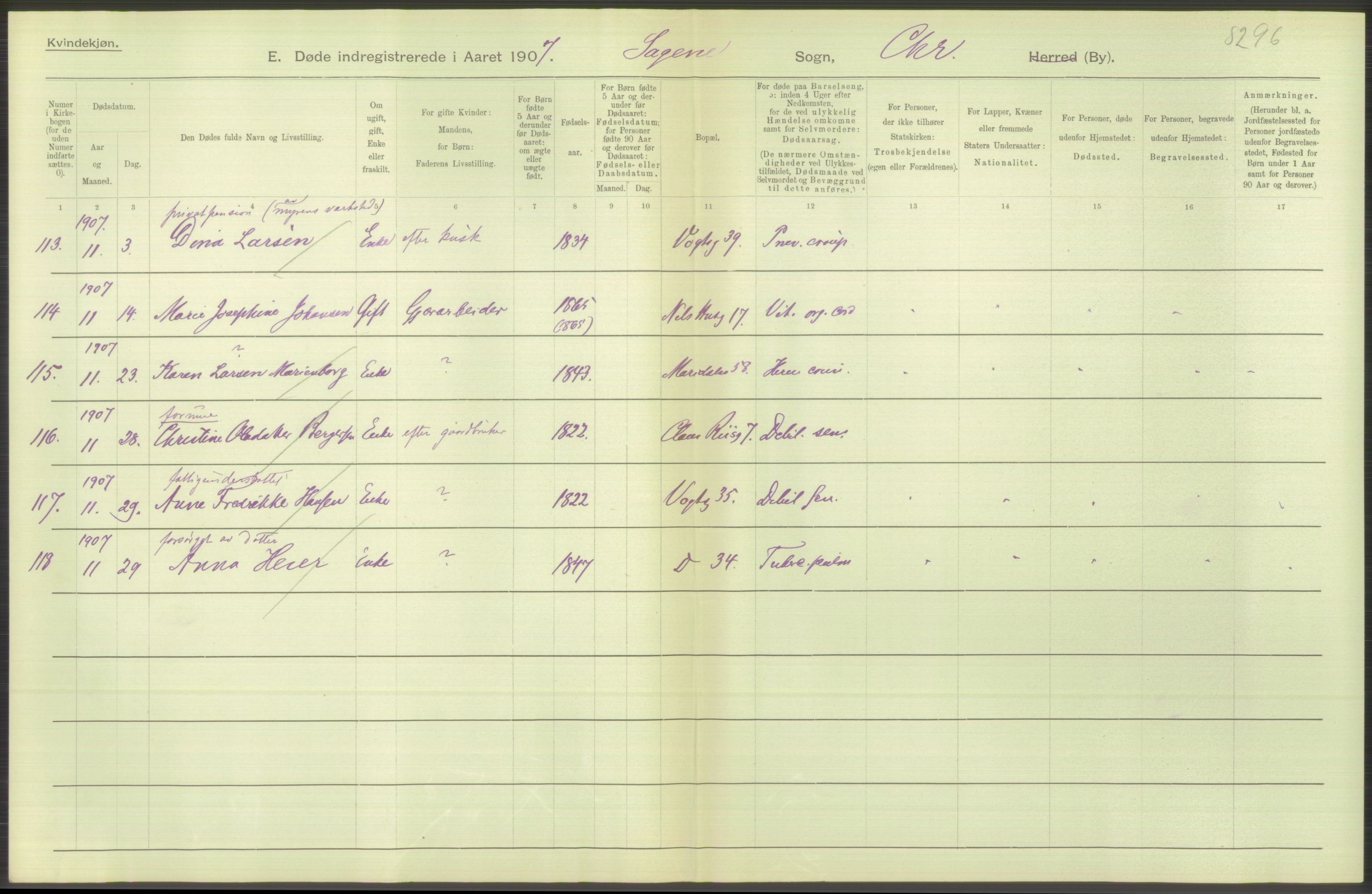 Statistisk sentralbyrå, Sosiodemografiske emner, Befolkning, AV/RA-S-2228/D/Df/Dfa/Dfae/L0009: Kristiania: Døde, 1907, s. 32