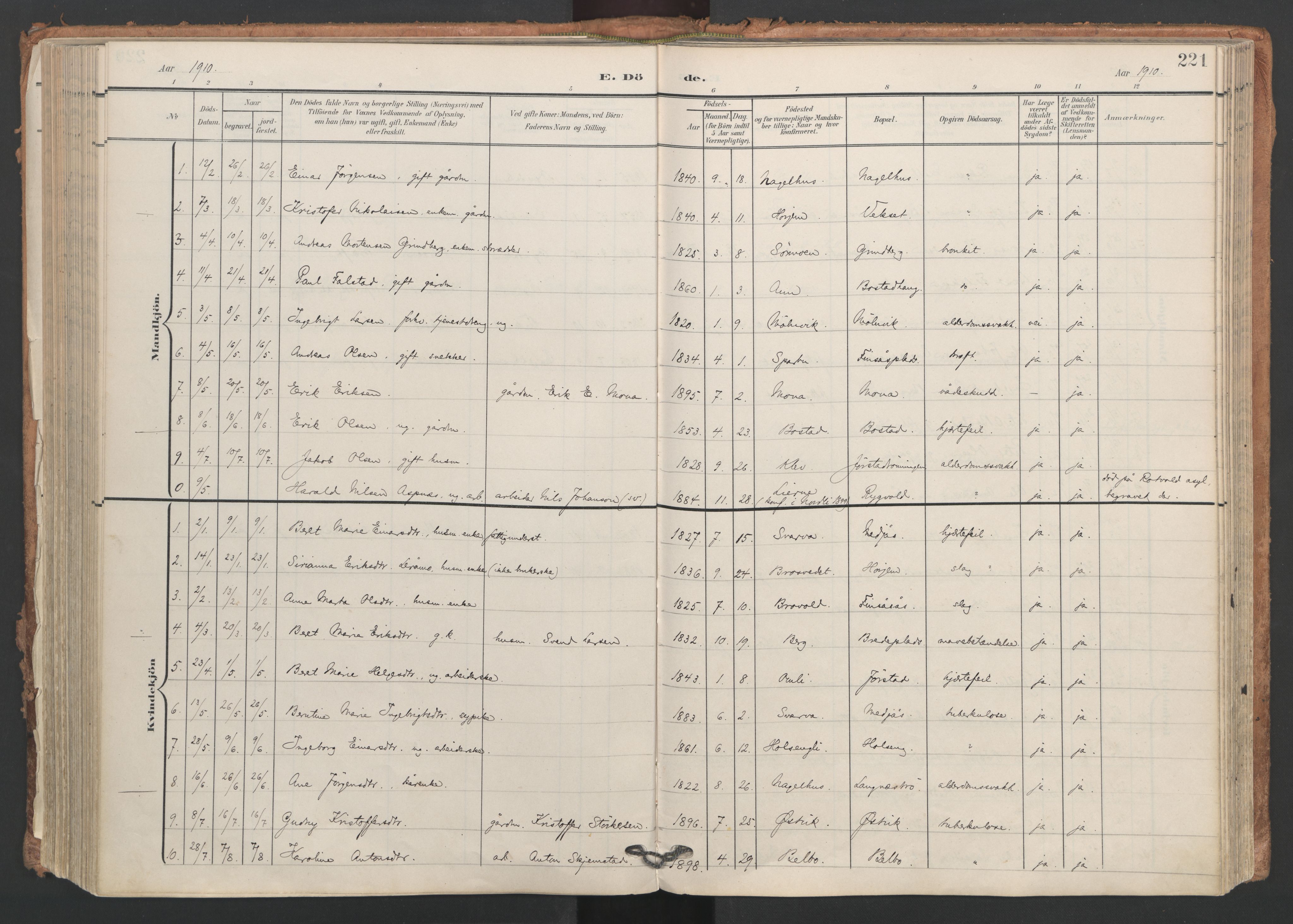 Ministerialprotokoller, klokkerbøker og fødselsregistre - Nord-Trøndelag, AV/SAT-A-1458/749/L0477: Ministerialbok nr. 749A11, 1902-1927, s. 221
