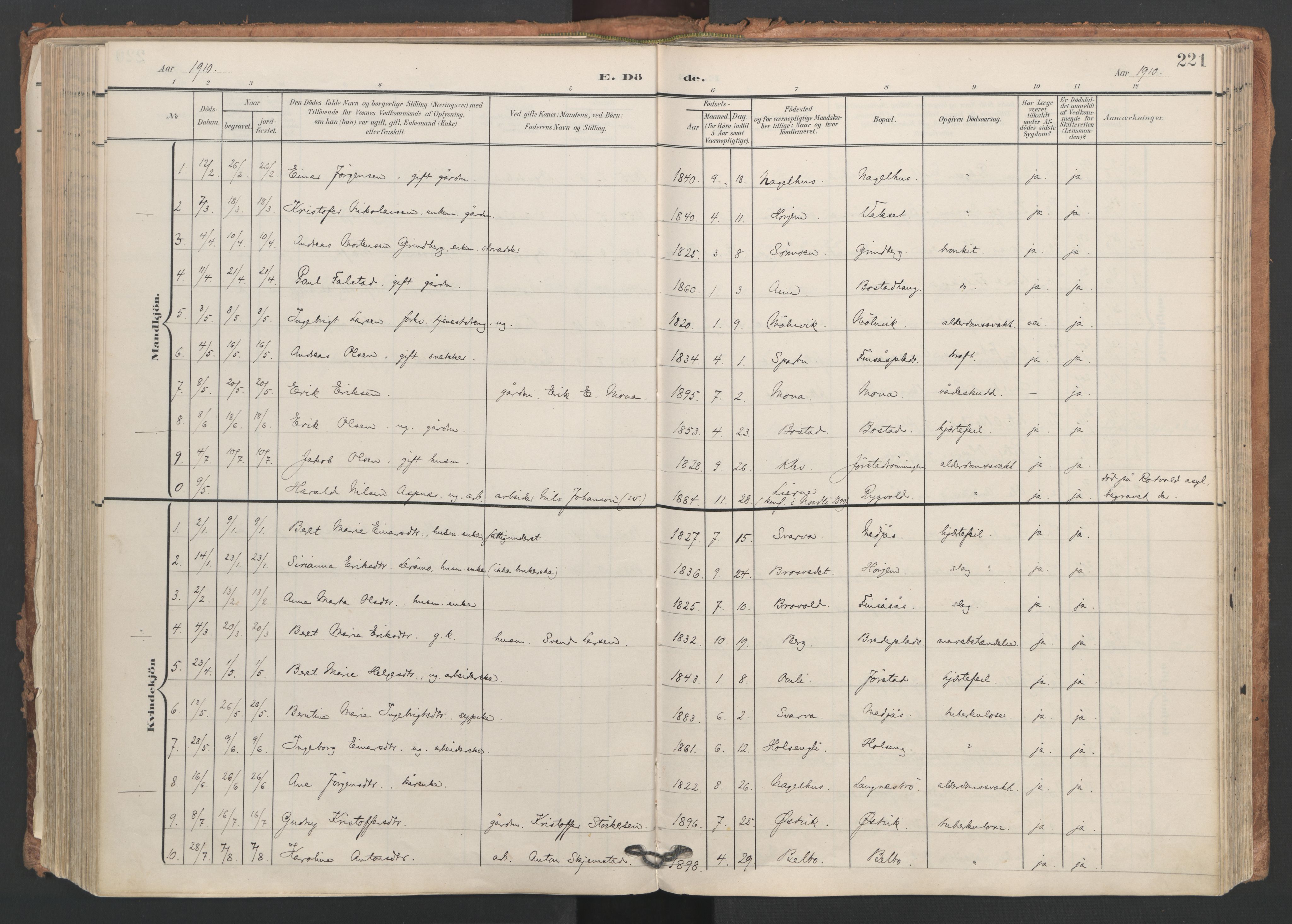 Ministerialprotokoller, klokkerbøker og fødselsregistre - Nord-Trøndelag, SAT/A-1458/749/L0477: Ministerialbok nr. 749A11, 1902-1927, s. 221