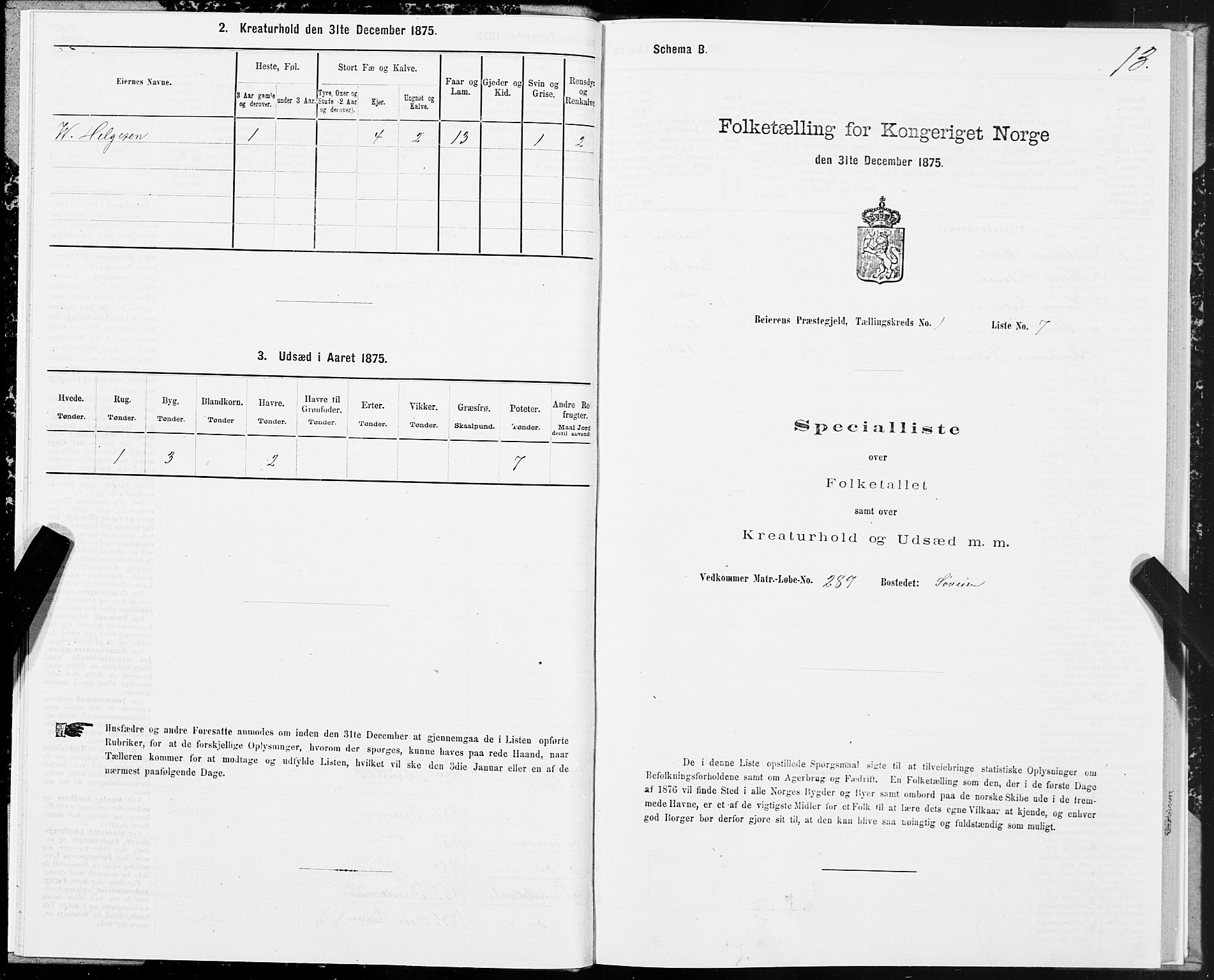 SAT, Folketelling 1875 for 1839P Beiarn prestegjeld, 1875, s. 1013