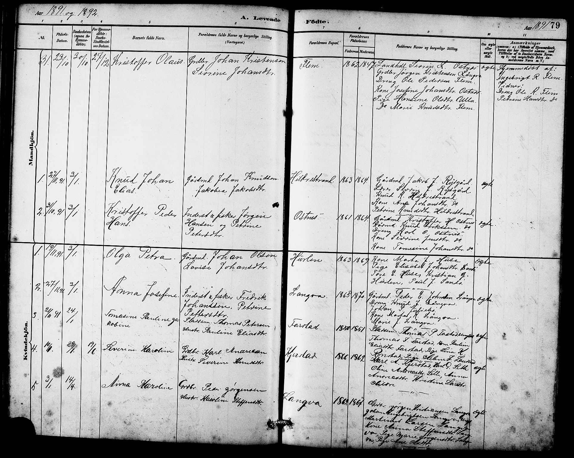 Ministerialprotokoller, klokkerbøker og fødselsregistre - Møre og Romsdal, AV/SAT-A-1454/536/L0510: Klokkerbok nr. 536C05, 1881-1898, s. 79