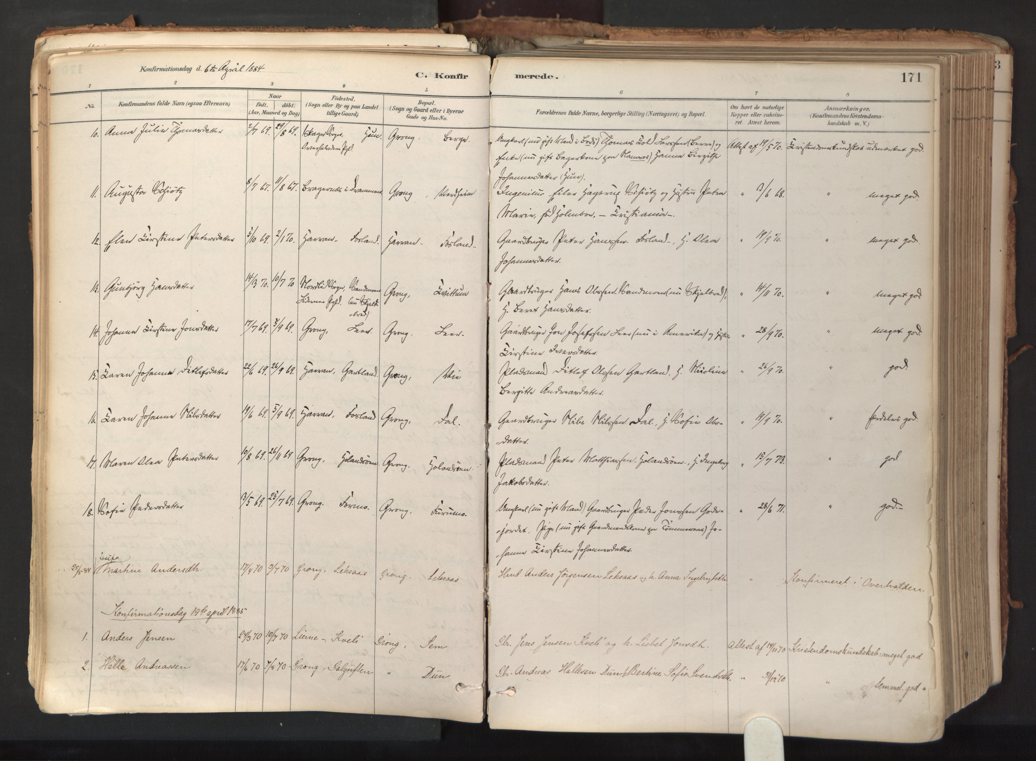 Ministerialprotokoller, klokkerbøker og fødselsregistre - Nord-Trøndelag, AV/SAT-A-1458/758/L0519: Ministerialbok nr. 758A04, 1880-1926, s. 171