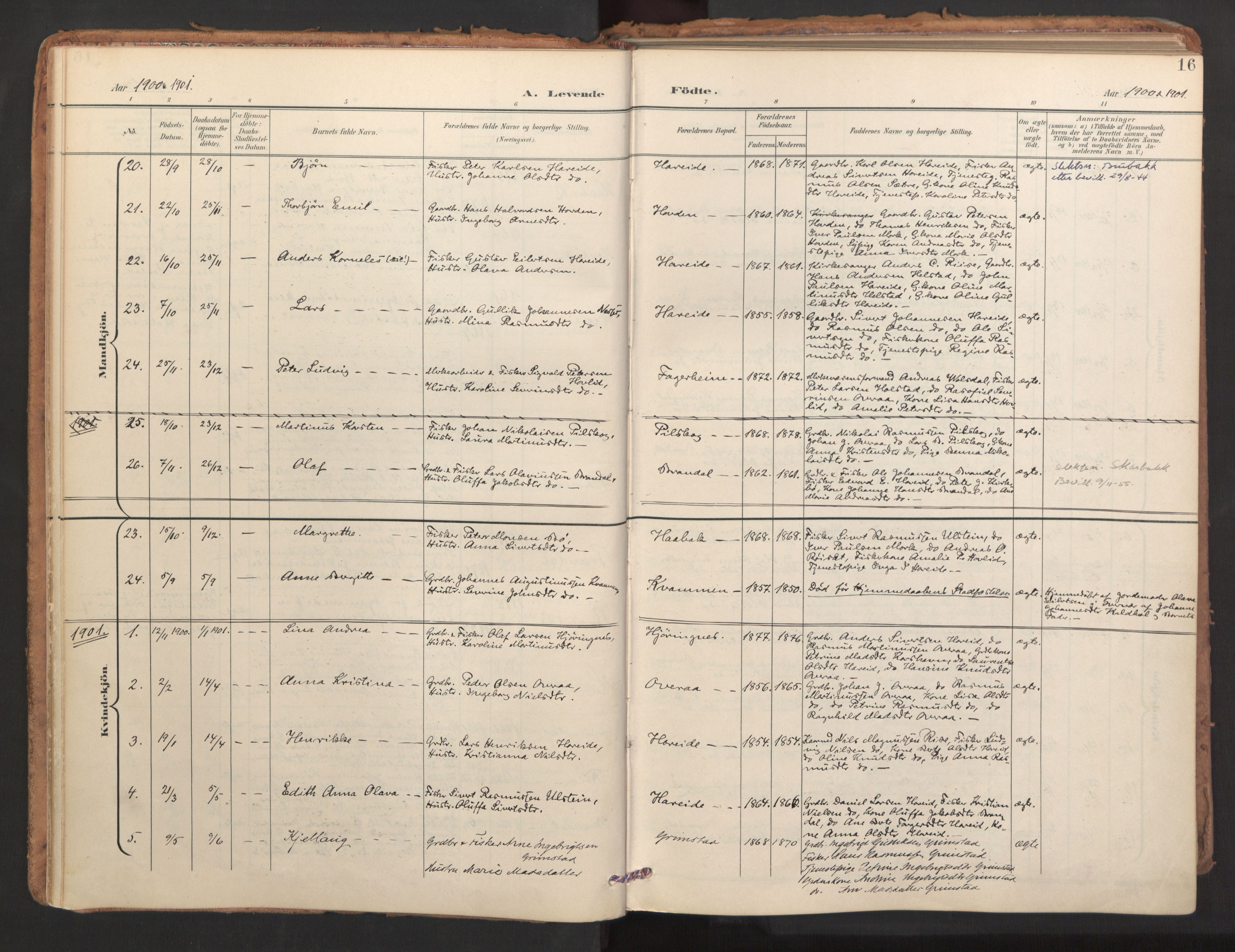 Ministerialprotokoller, klokkerbøker og fødselsregistre - Møre og Romsdal, SAT/A-1454/510/L0123: Ministerialbok nr. 510A03, 1898-1922, s. 16