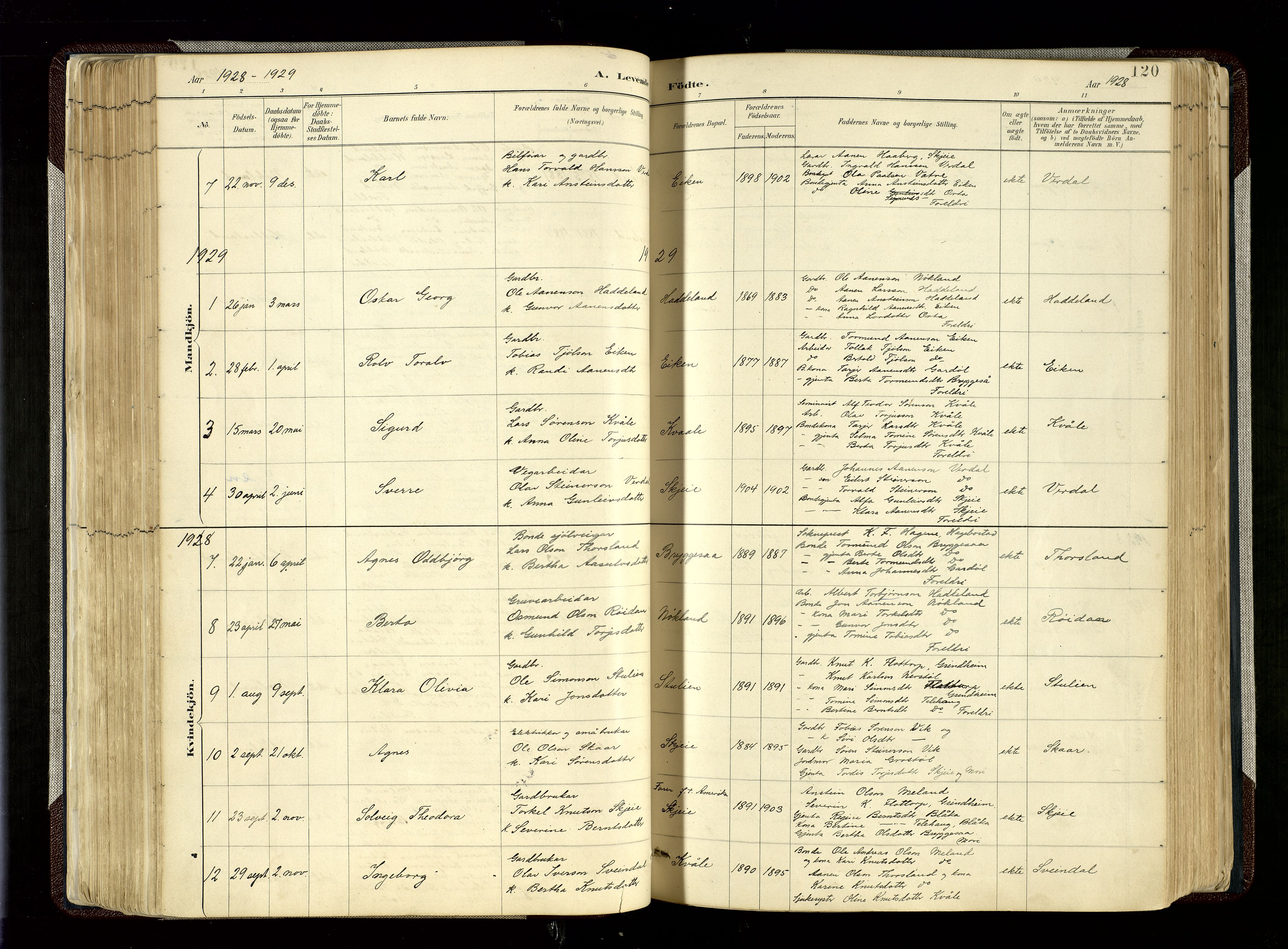 Hægebostad sokneprestkontor, AV/SAK-1111-0024/F/Fa/Fab/L0004: Ministerialbok nr. A 4, 1887-1929, s. 120
