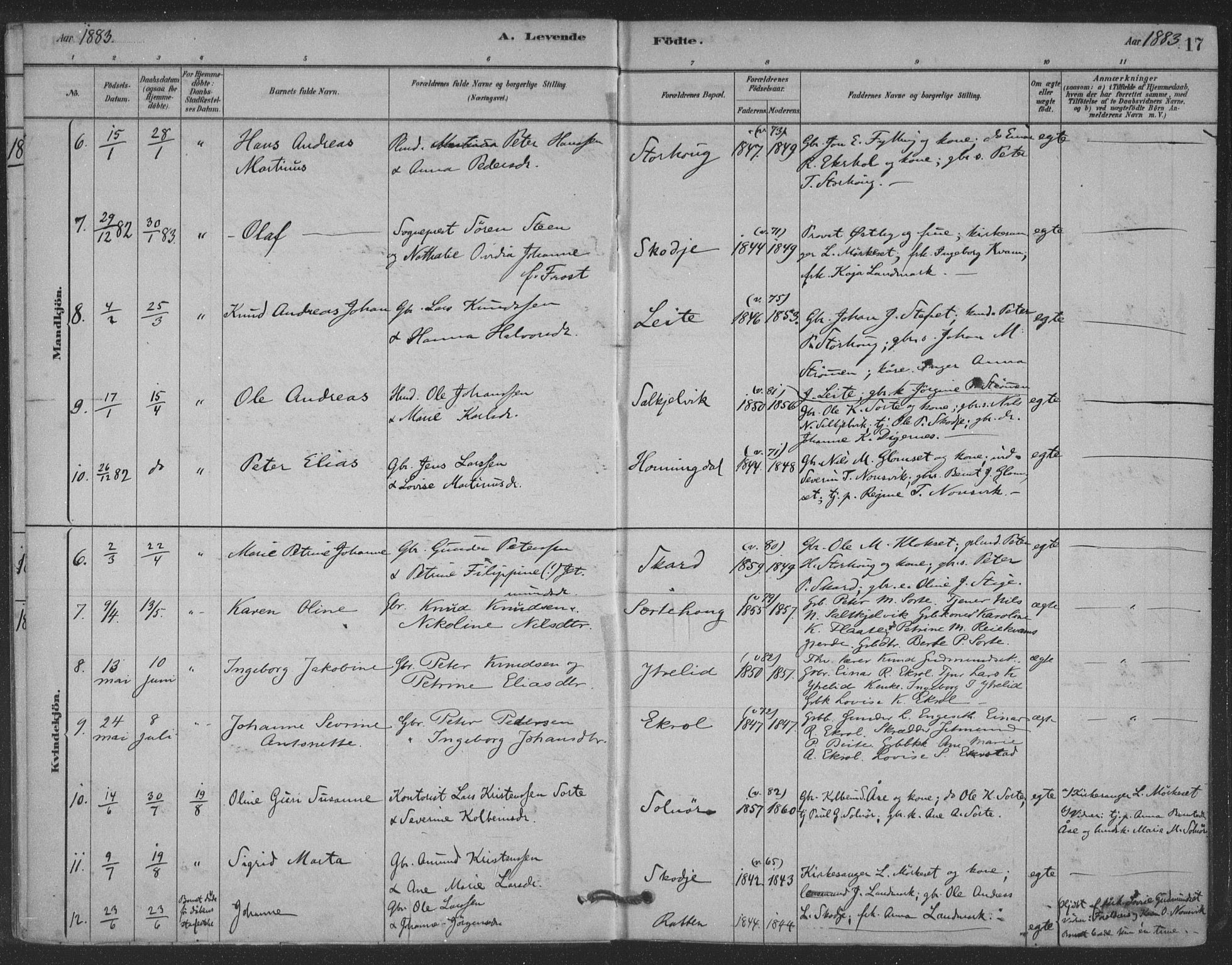 Ministerialprotokoller, klokkerbøker og fødselsregistre - Møre og Romsdal, SAT/A-1454/524/L0356: Ministerialbok nr. 524A08, 1880-1899, s. 17