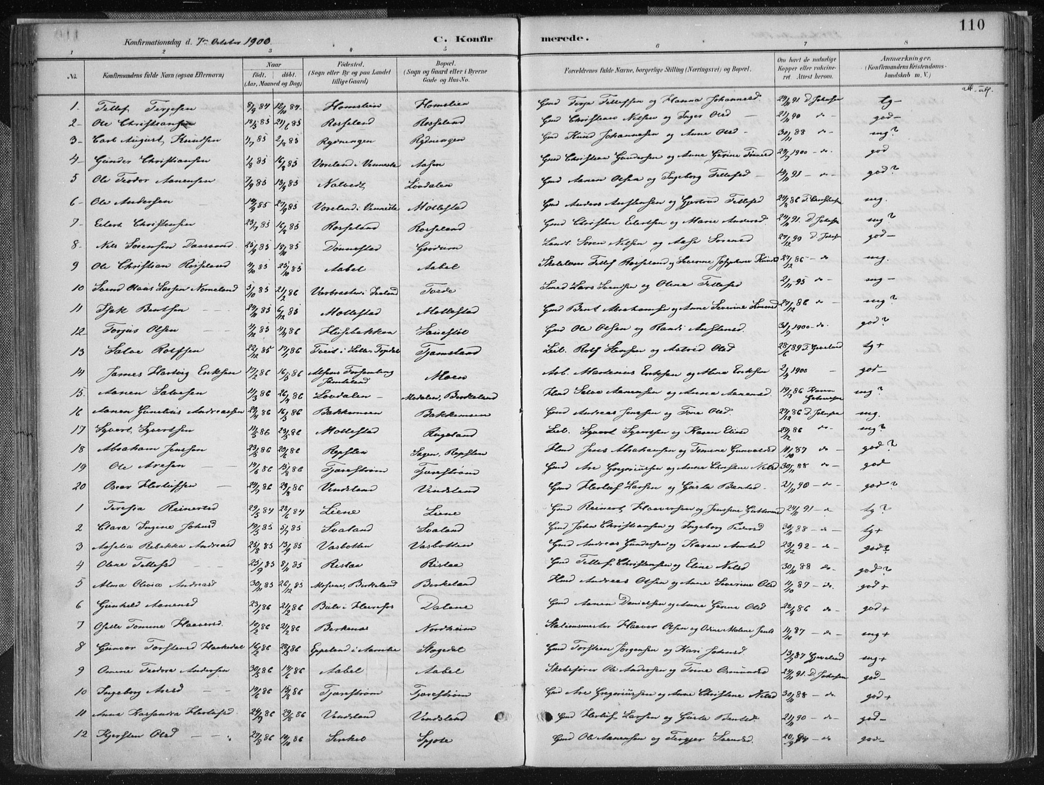 Birkenes sokneprestkontor, SAK/1111-0004/F/Fa/L0005: Ministerialbok nr. A 5, 1887-1907, s. 110