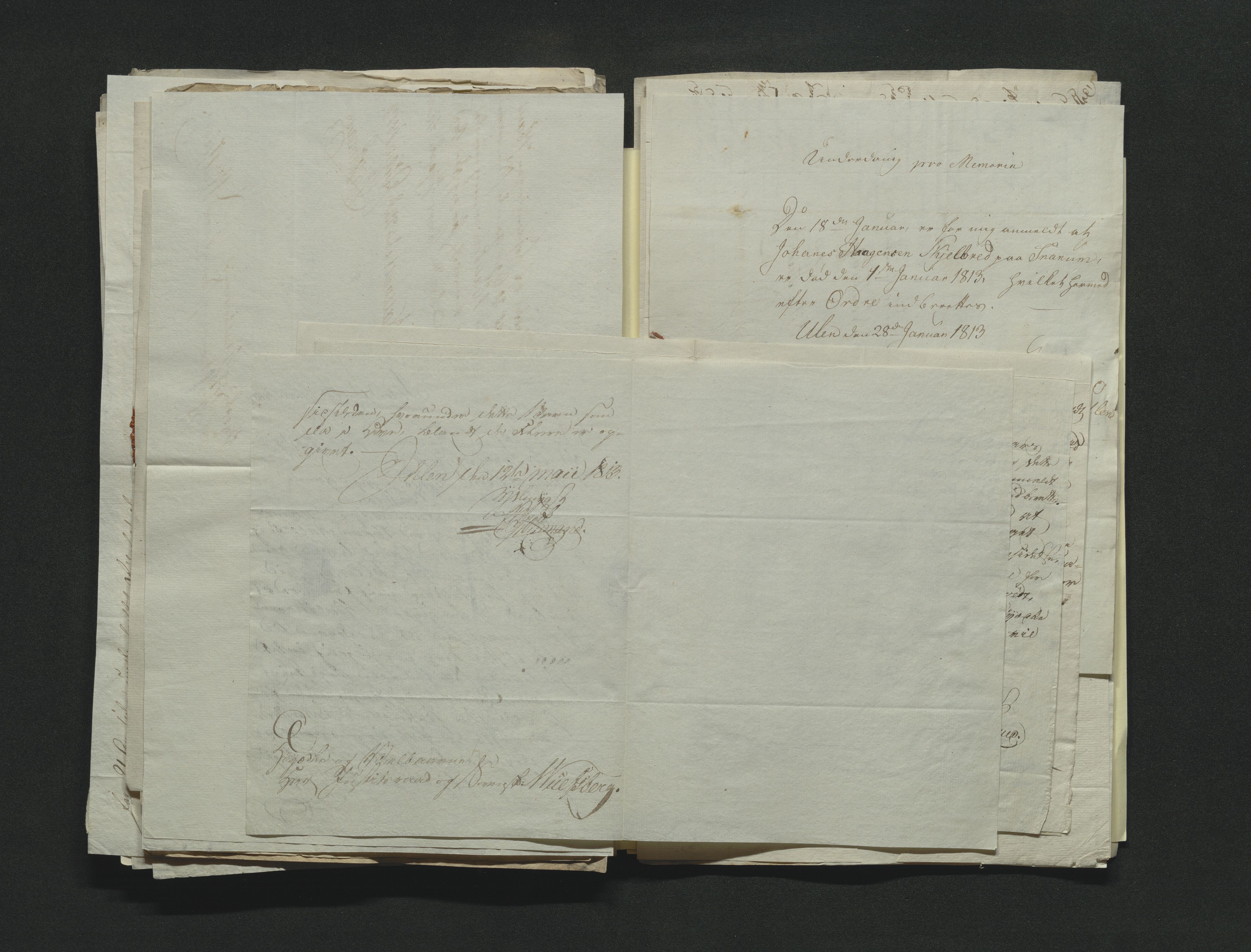 Eiker, Modum og Sigdal sorenskriveri, AV/SAKO-A-123/H/Ha/Hab/L0001: Dødsfallsmeldinger, 1812-1822, s. 98