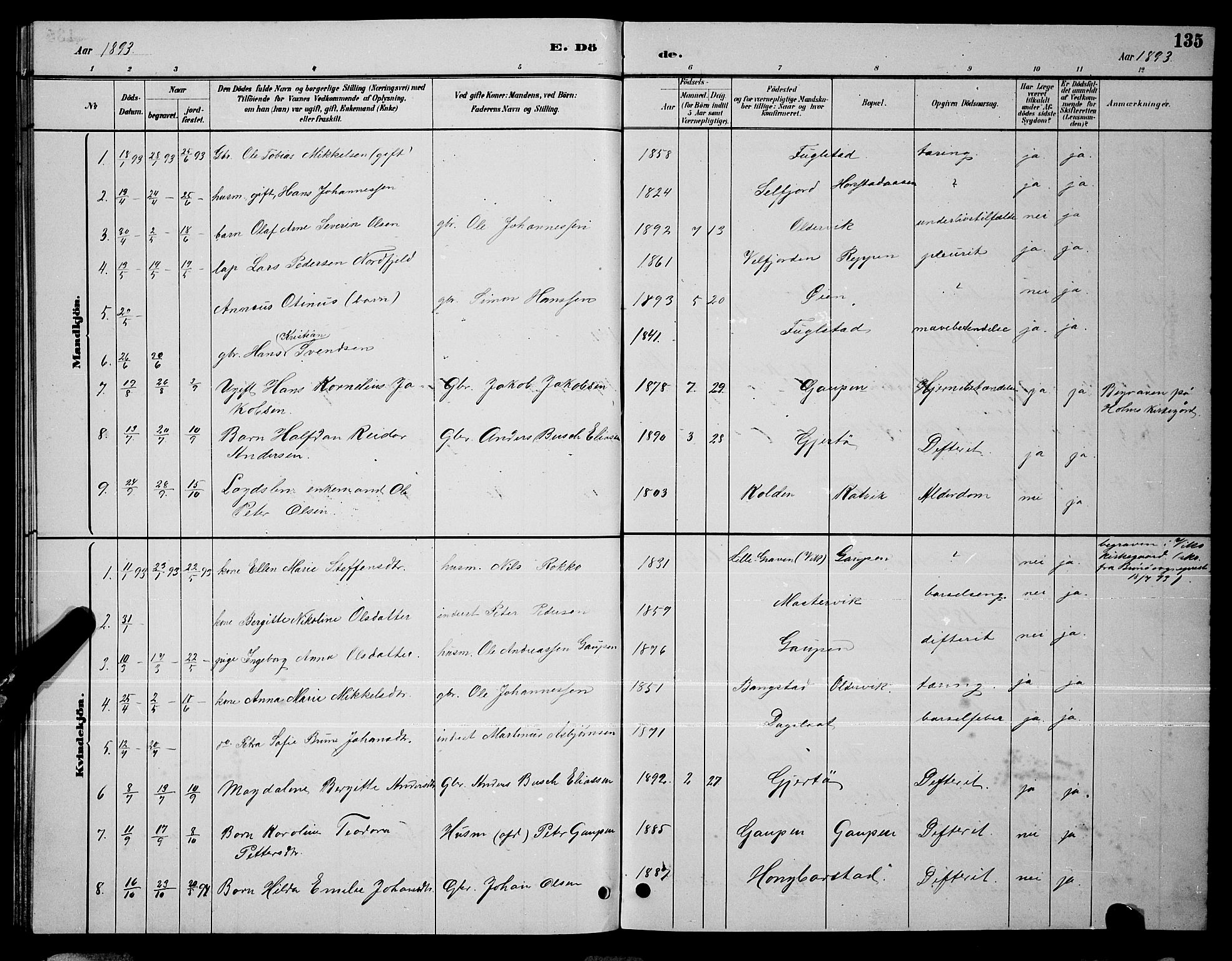 Ministerialprotokoller, klokkerbøker og fødselsregistre - Nordland, SAT/A-1459/810/L0160: Klokkerbok nr. 810C03, 1884-1896, s. 135