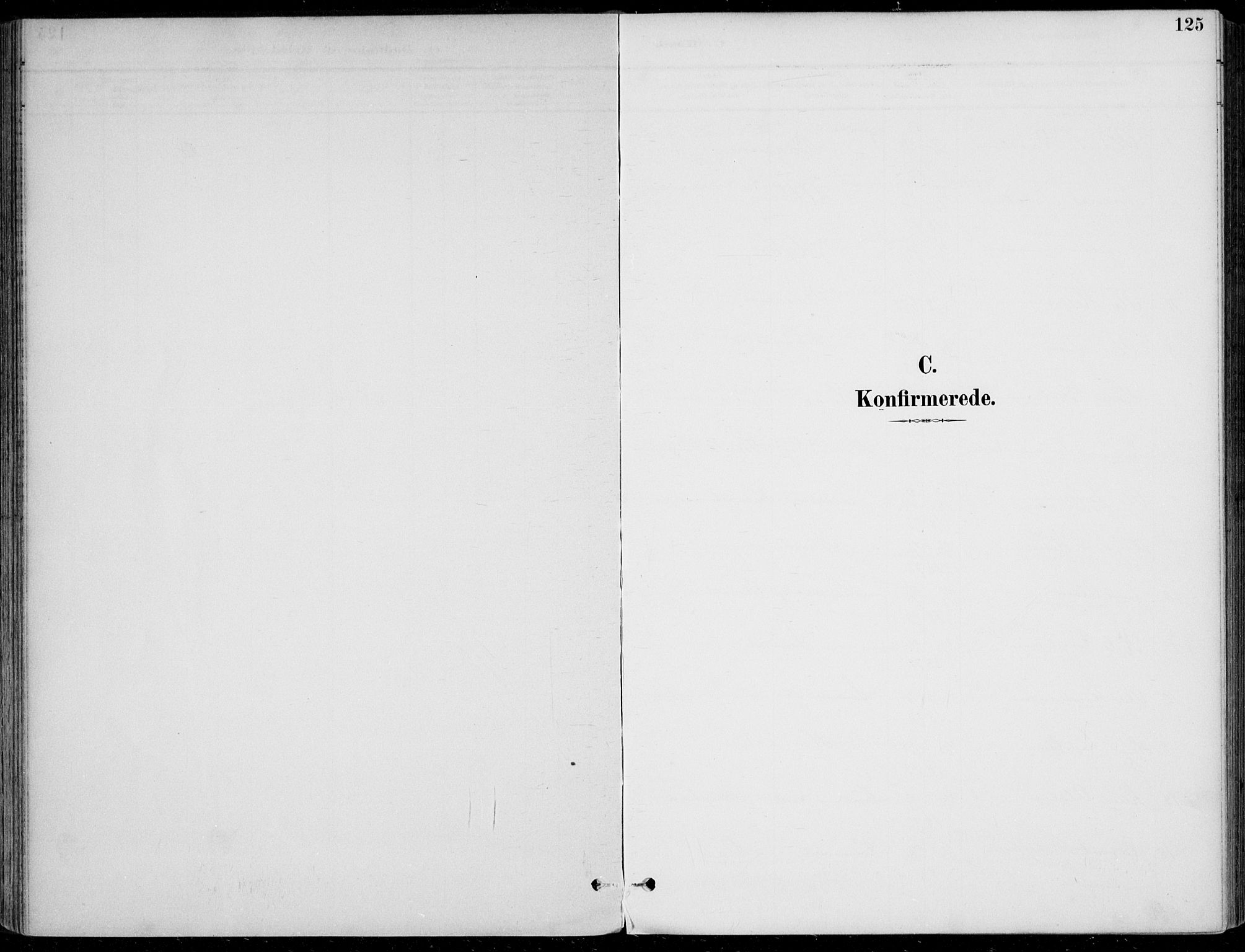 Sigdal kirkebøker, AV/SAKO-A-245/F/Fb/L0001: Ministerialbok nr. II 1, 1888-1900, s. 125