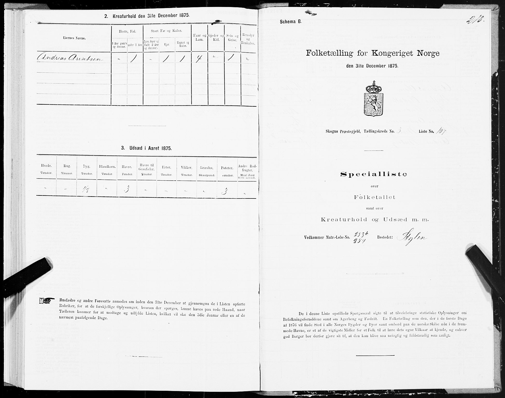 SAT, Folketelling 1875 for 1719P Skogn prestegjeld, 1875, s. 3213