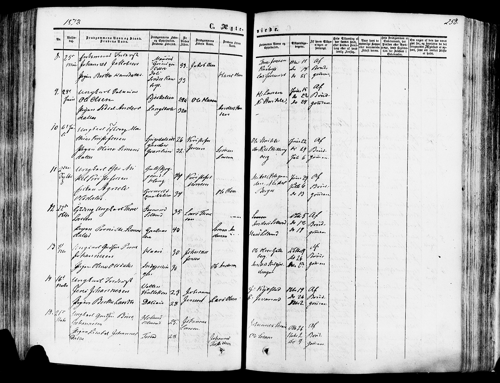 Vang prestekontor, Hedmark, SAH/PREST-008/H/Ha/Haa/L0013: Ministerialbok nr. 13, 1855-1879, s. 258