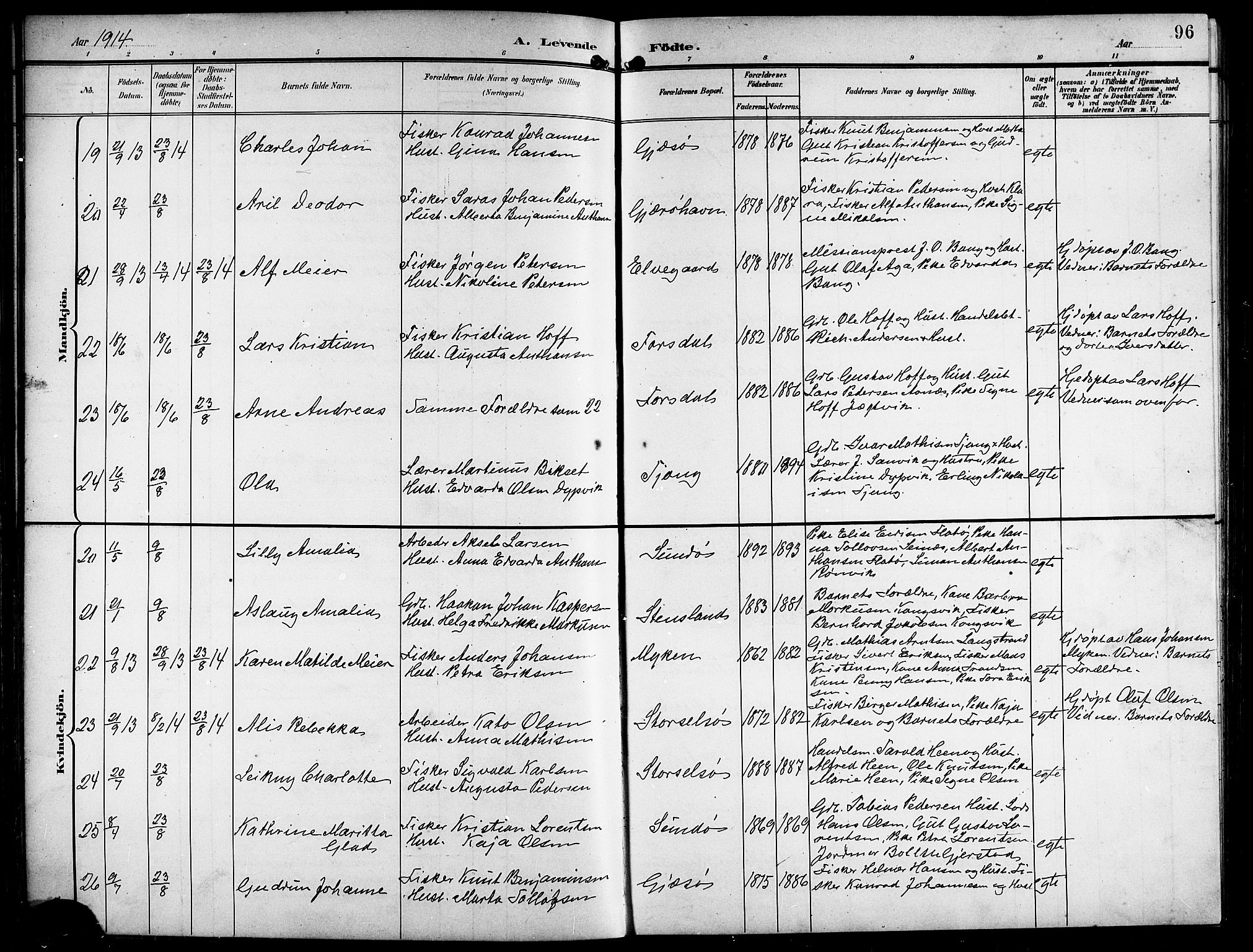 Ministerialprotokoller, klokkerbøker og fødselsregistre - Nordland, AV/SAT-A-1459/841/L0621: Klokkerbok nr. 841C05, 1897-1923, s. 96