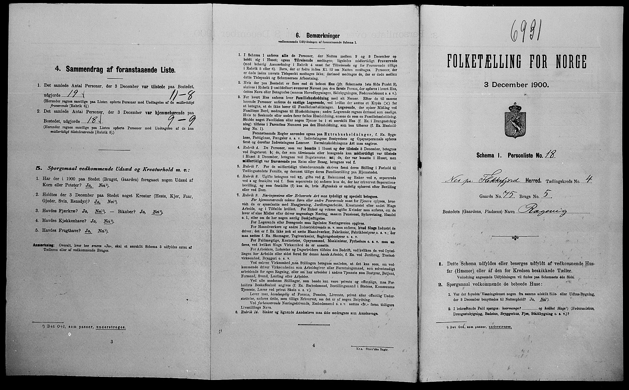 SAK, Folketelling 1900 for 1043 Nes herred, 1900, s. 587
