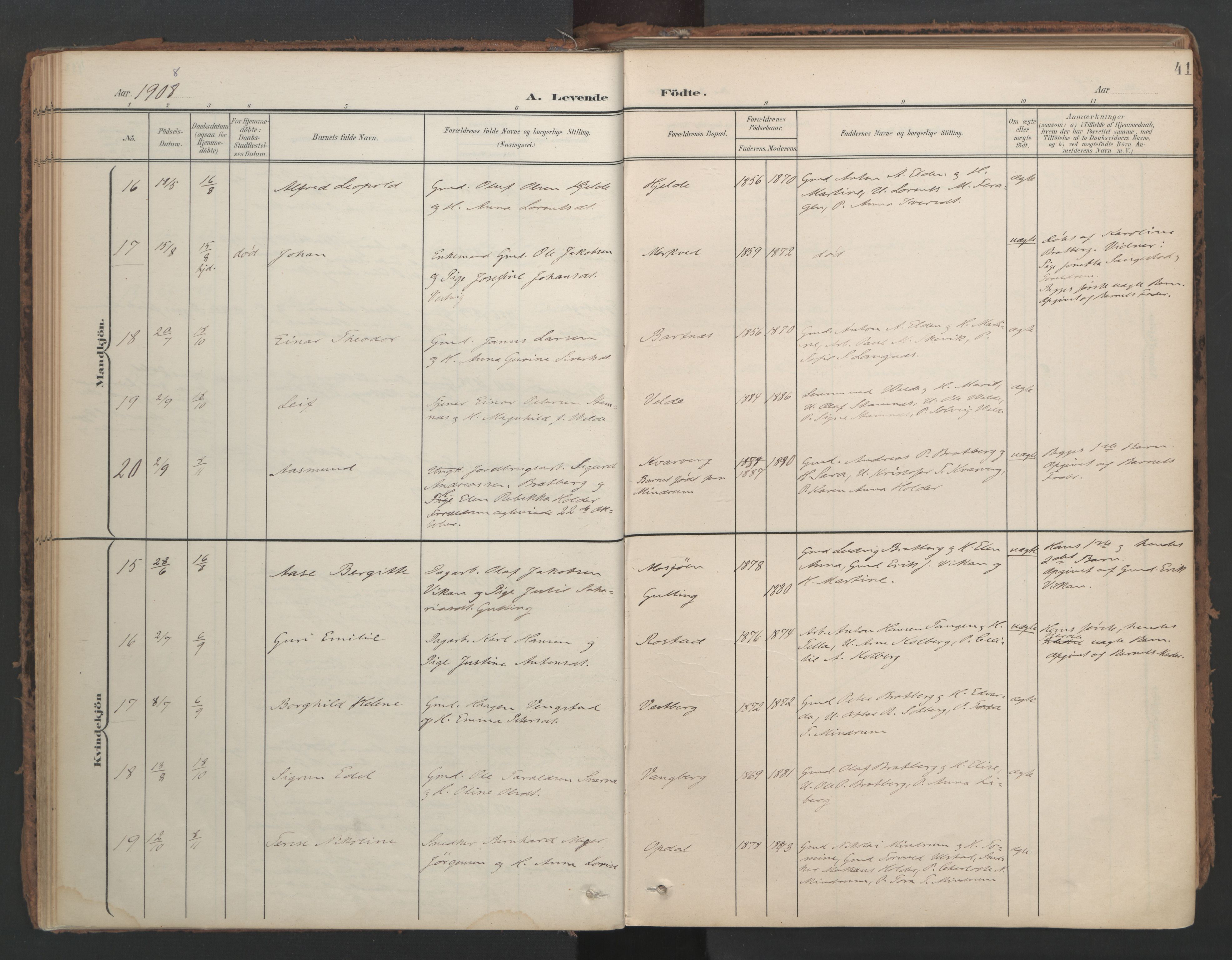 Ministerialprotokoller, klokkerbøker og fødselsregistre - Nord-Trøndelag, AV/SAT-A-1458/741/L0397: Ministerialbok nr. 741A11, 1901-1911, s. 41