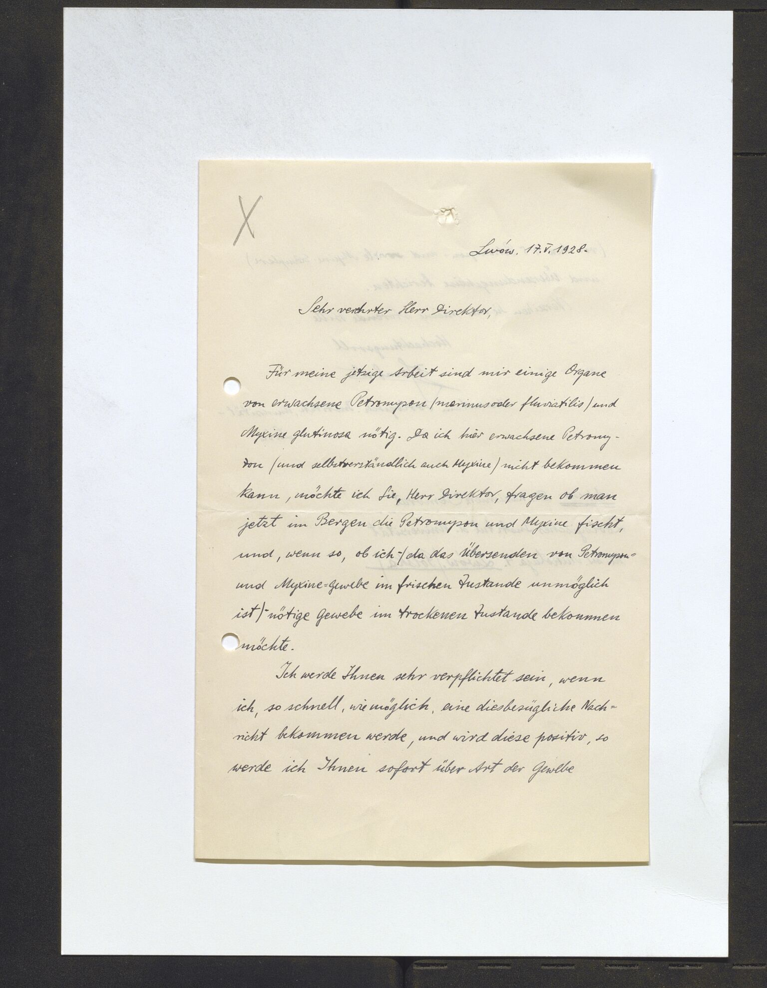 Bergens Museum, AV/SAB-A-17301/13/D/L0002: Korrespondanse , 1928-1940, s. 247