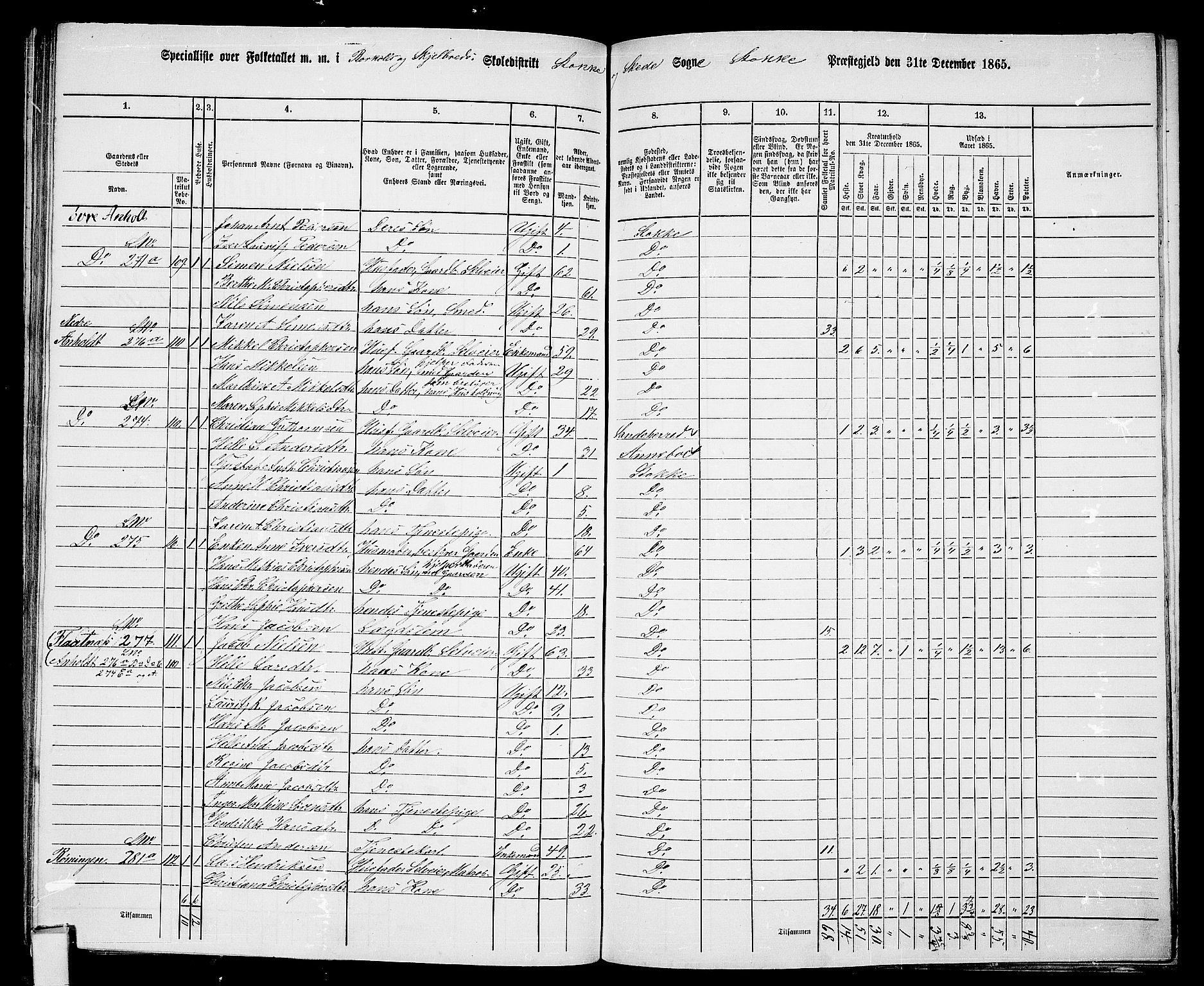 RA, Folketelling 1865 for 0720P Stokke prestegjeld, 1865, s. 119