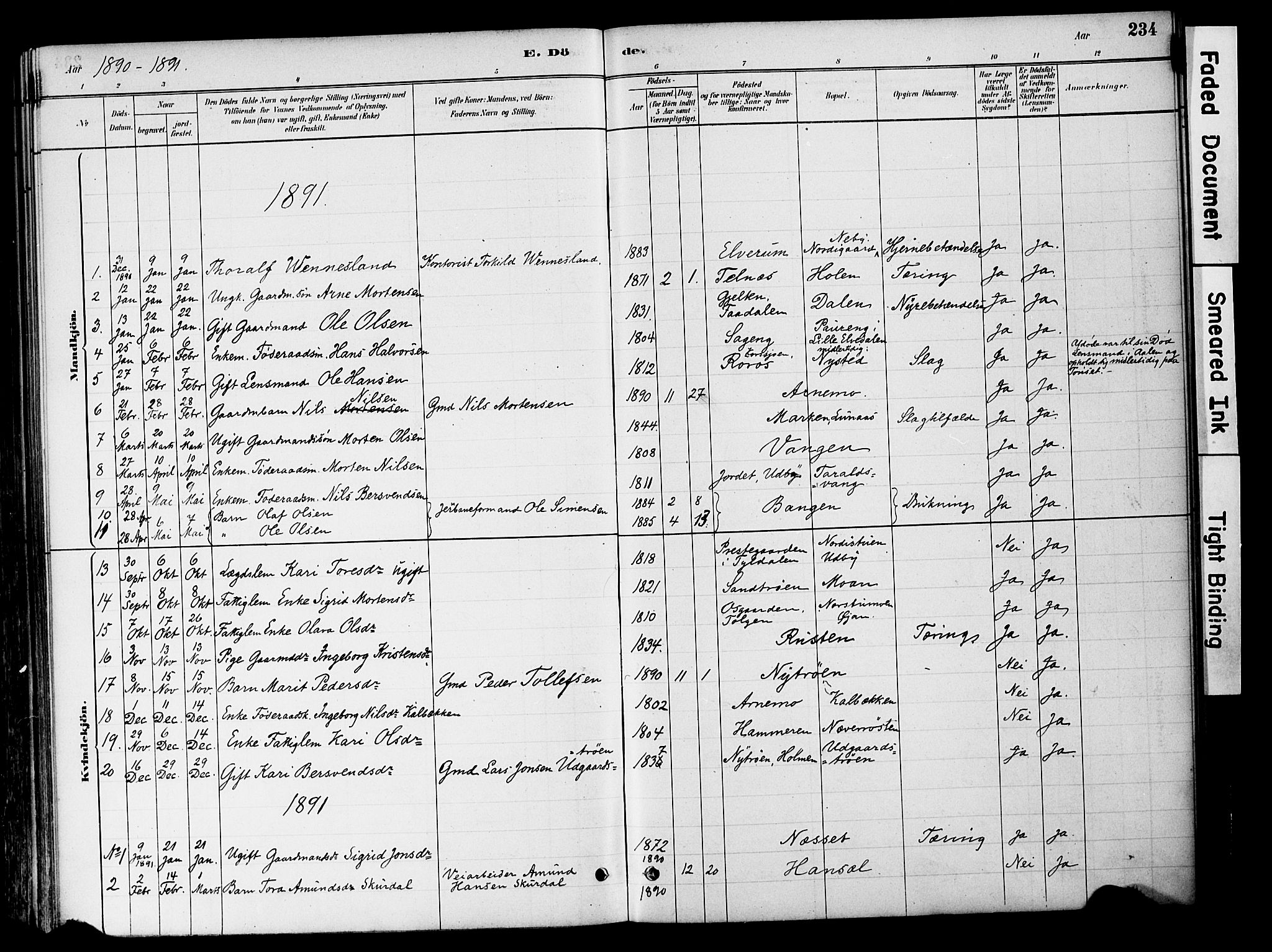 Tynset prestekontor, SAH/PREST-058/H/Ha/Haa/L0022: Ministerialbok nr. 22, 1880-1899, s. 234