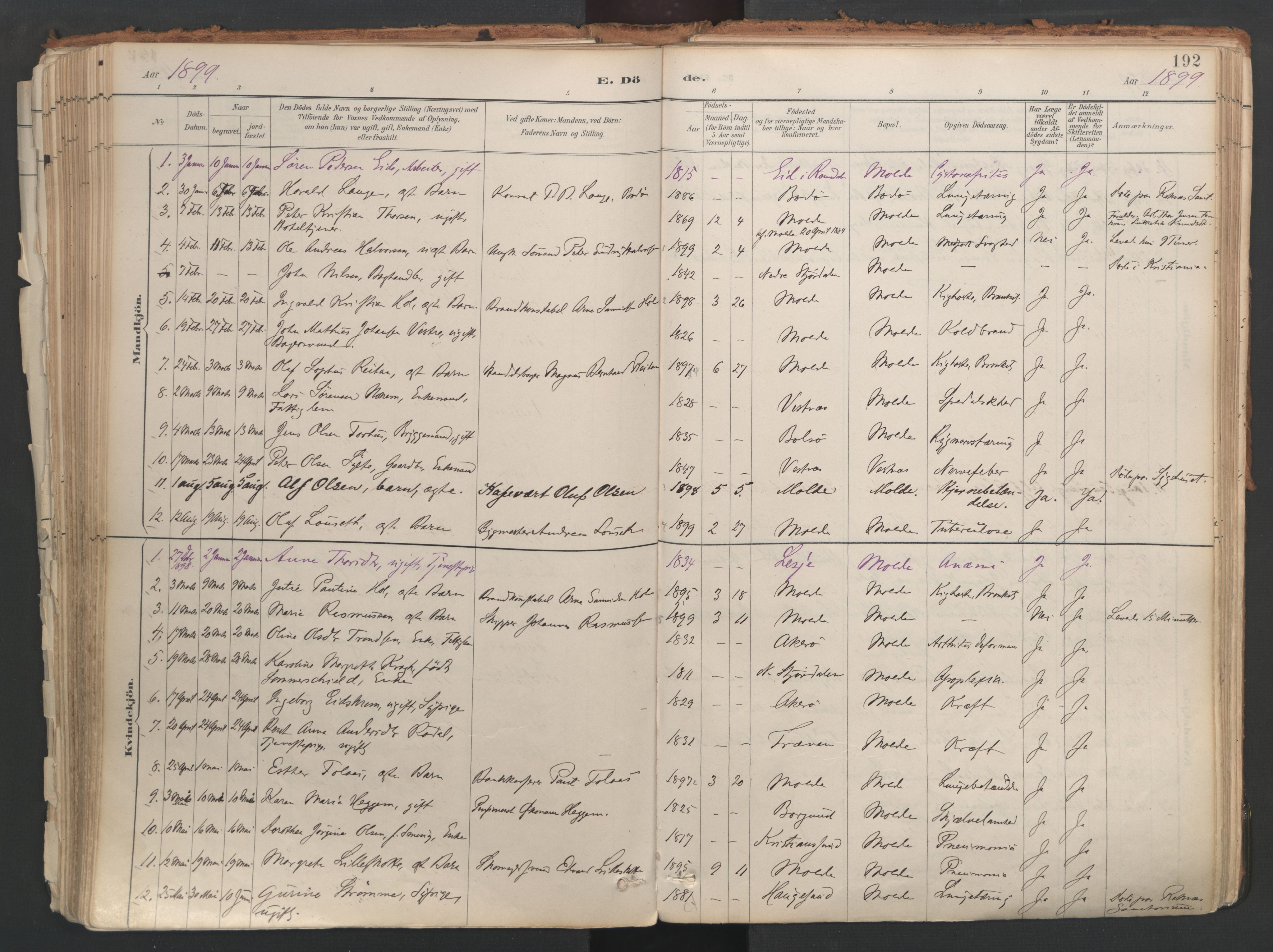 Ministerialprotokoller, klokkerbøker og fødselsregistre - Møre og Romsdal, AV/SAT-A-1454/558/L0692: Ministerialbok nr. 558A06, 1887-1971, s. 192
