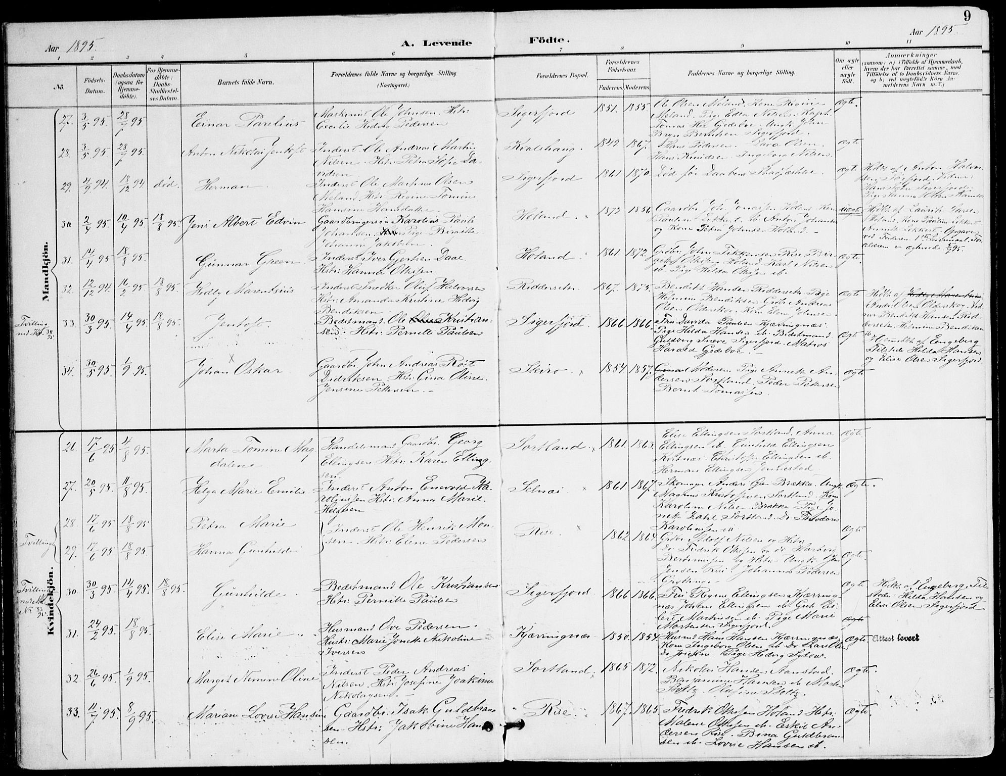 Ministerialprotokoller, klokkerbøker og fødselsregistre - Nordland, AV/SAT-A-1459/895/L1372: Ministerialbok nr. 895A07, 1894-1914, s. 9