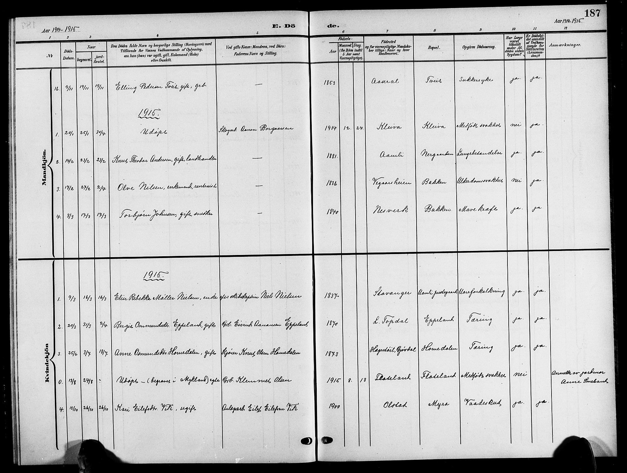Åmli sokneprestkontor, SAK/1111-0050/F/Fb/Fbc/L0005: Klokkerbok nr. B 5, 1903-1916, s. 187
