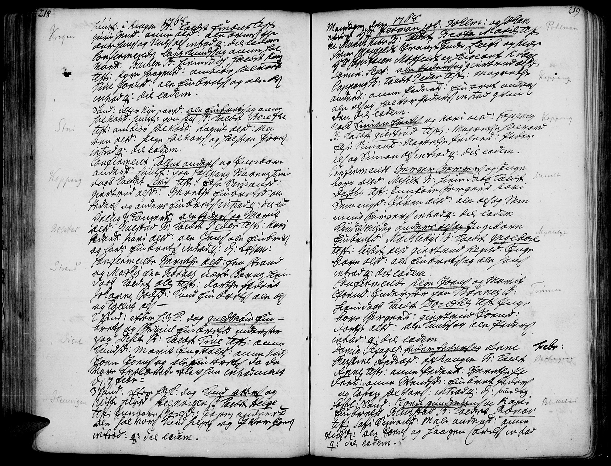 Åmot prestekontor, Hedmark, AV/SAH-PREST-056/H/Ha/Haa/L0002: Ministerialbok nr. 2, 1734-1779, s. 218-219